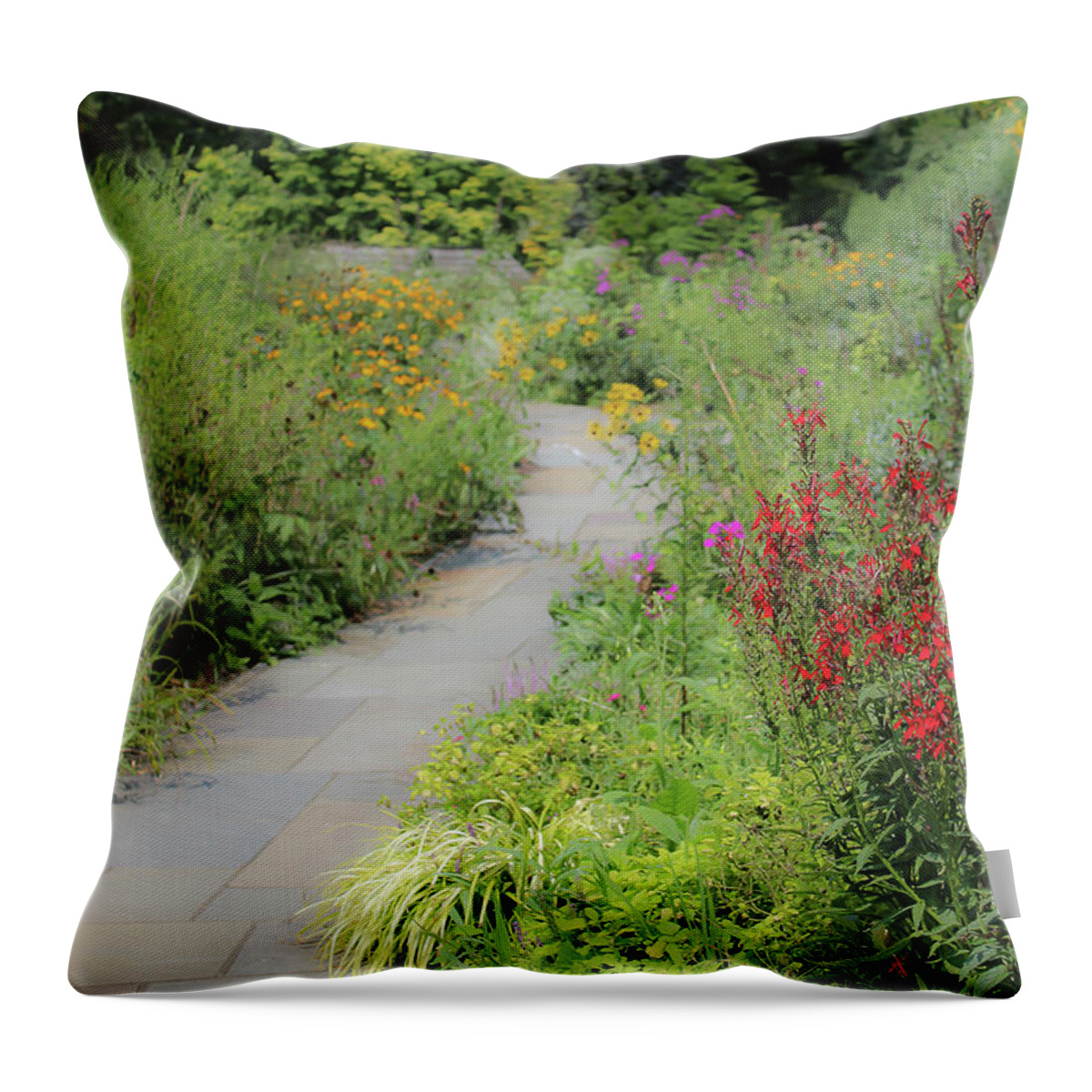  Throw Pillow featuring the photograph Colorful Pathway by Deborah Crew-Johnson