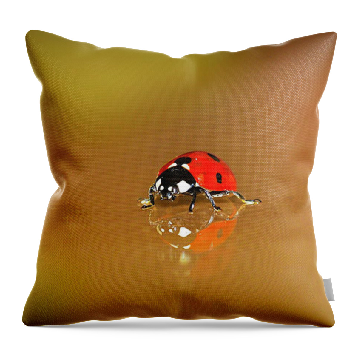 Lady Bug Throw Pillow featuring the photograph Colorful Red Ladybug Art by Wall Art Prints