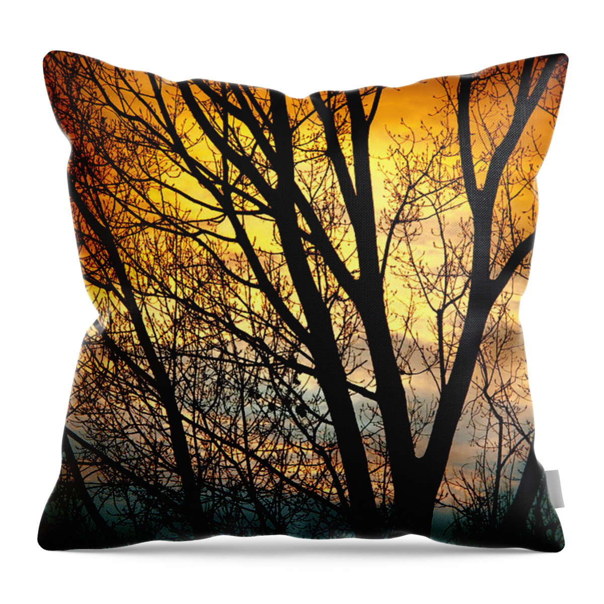 Sunsets Throw Pillow featuring the photograph Colorful Sunset Silhouette by James BO Insogna