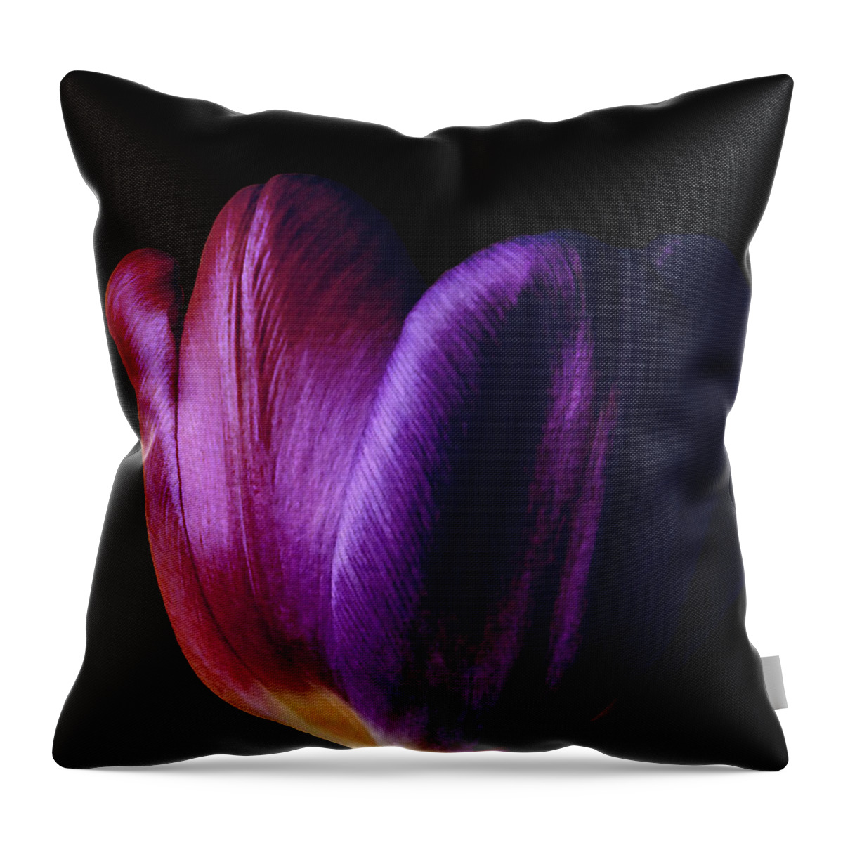 Tulip Throw Pillow featuring the photograph Colorful Tulip Macro by Johanna Hurmerinta