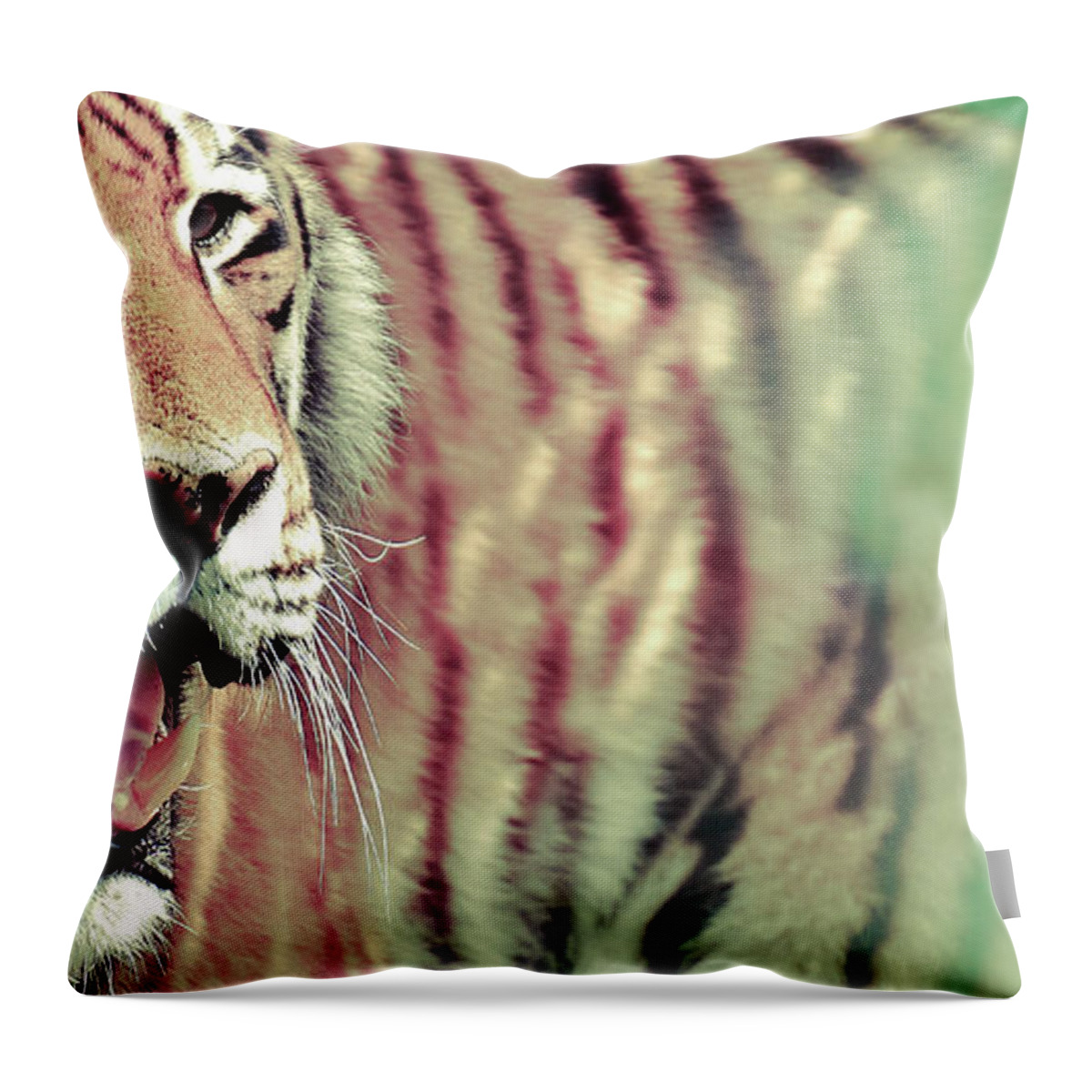 Tiger Throw Pillow featuring the photograph Colorfull Artistic Tiger Photo Art by Wall Art Prints