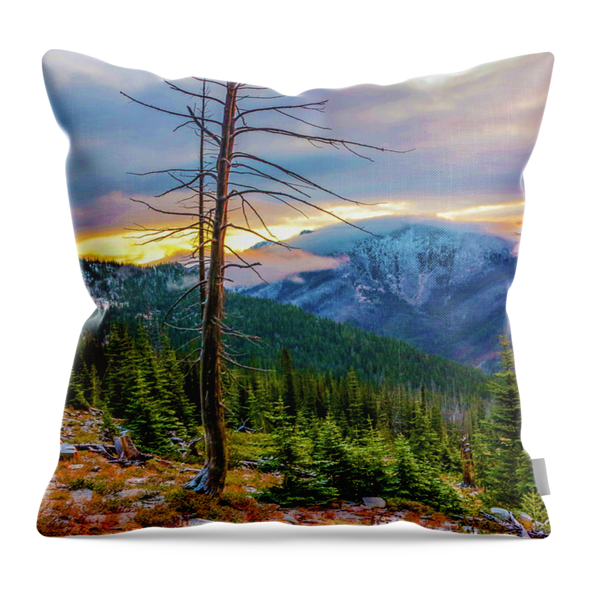 Landscape Throw Pillow featuring the photograph Colorfull Morning by Jason Brooks