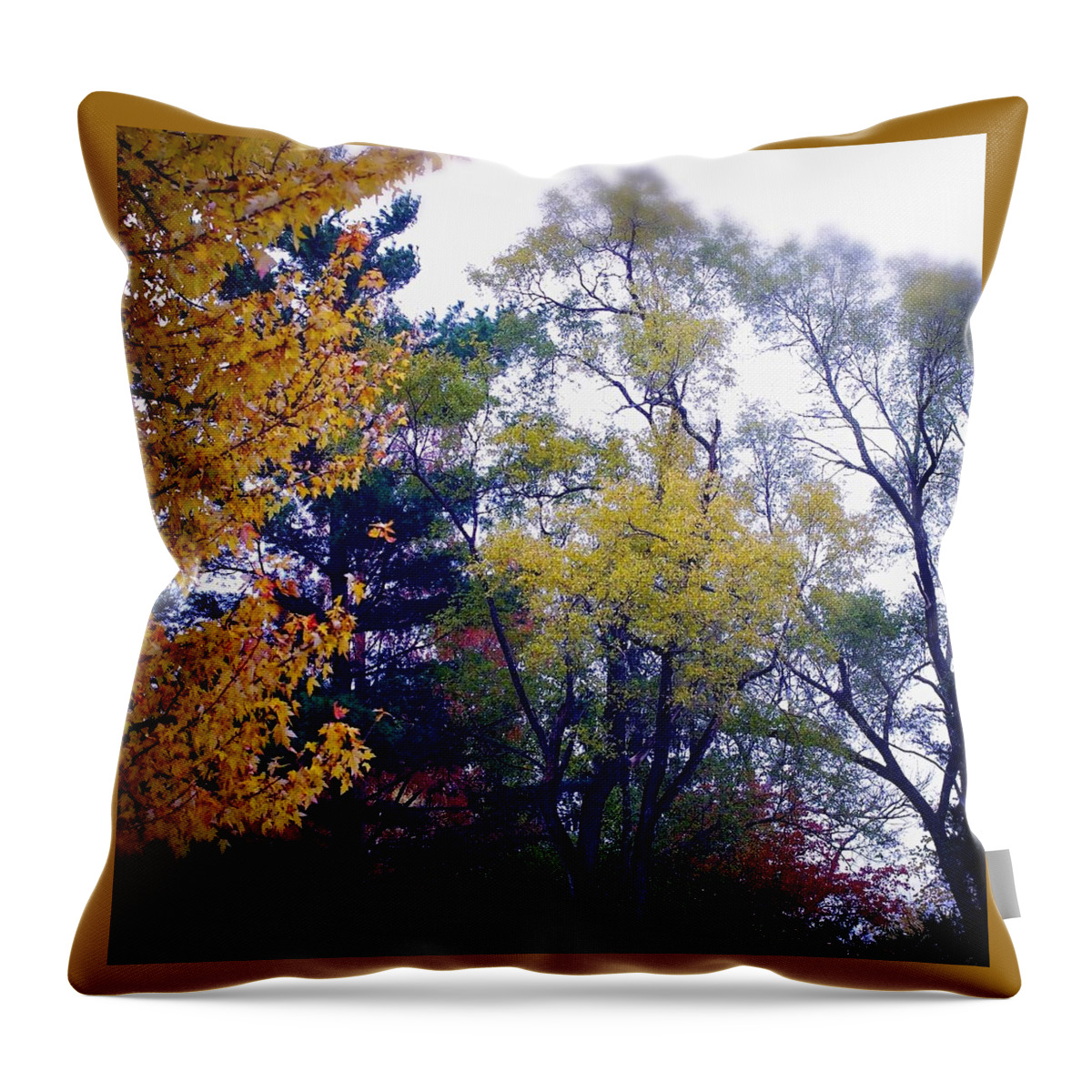 Frank J Casella Throw Pillow featuring the photograph Colors by Frank J Casella
