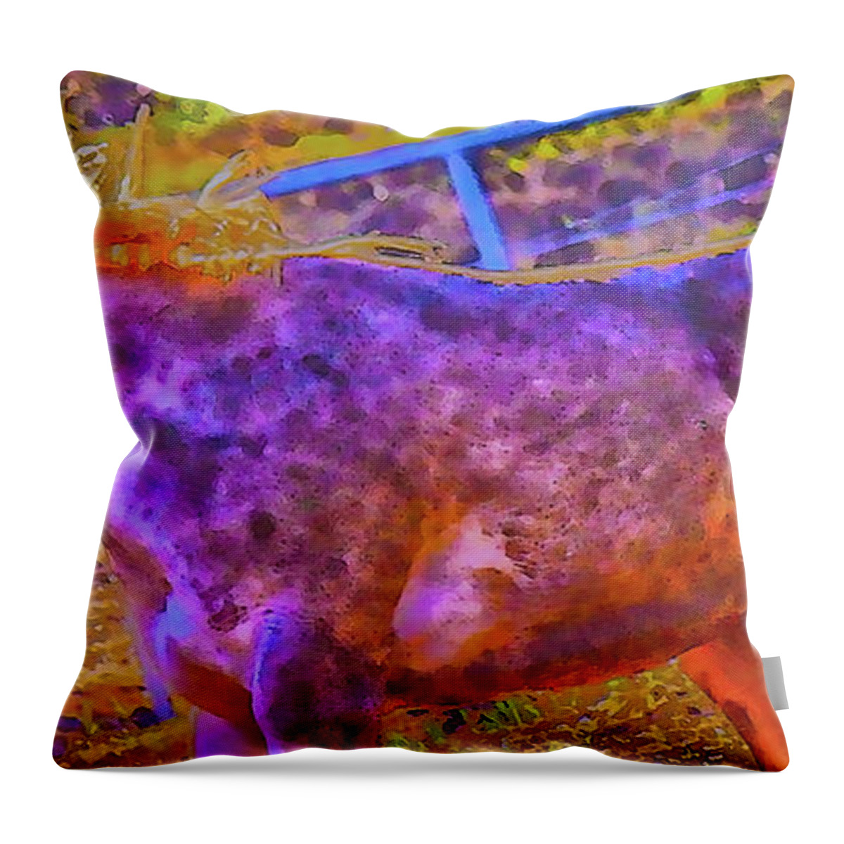 Retro Throw Pillow featuring the photograph Colors in Sync by Amanda Smith