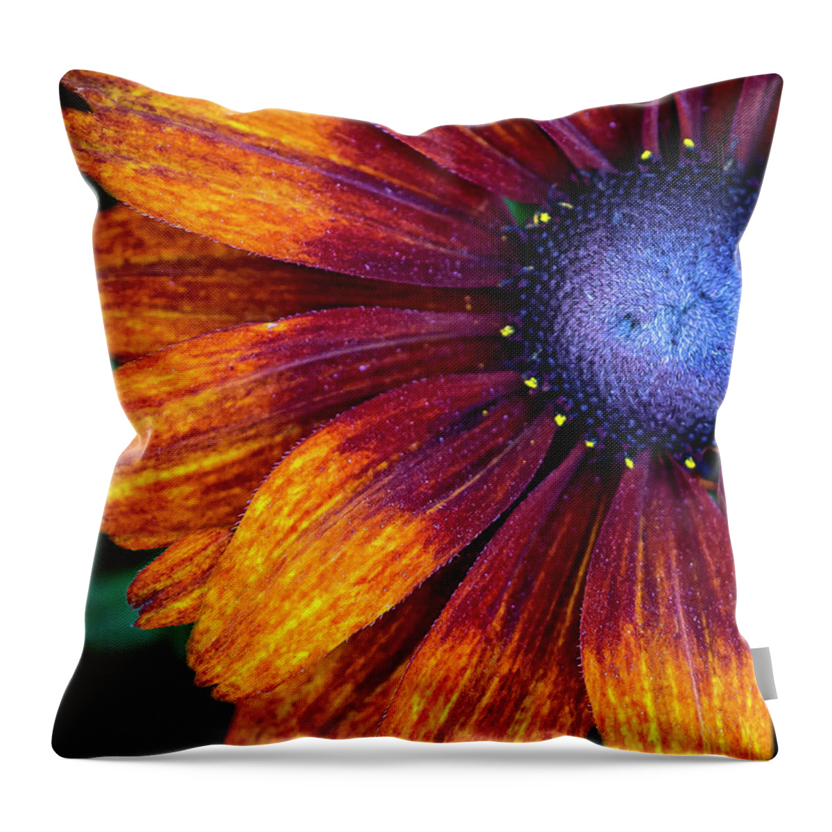 Flower Throw Pillow featuring the photograph Colors Inside by Vanessa Thomas