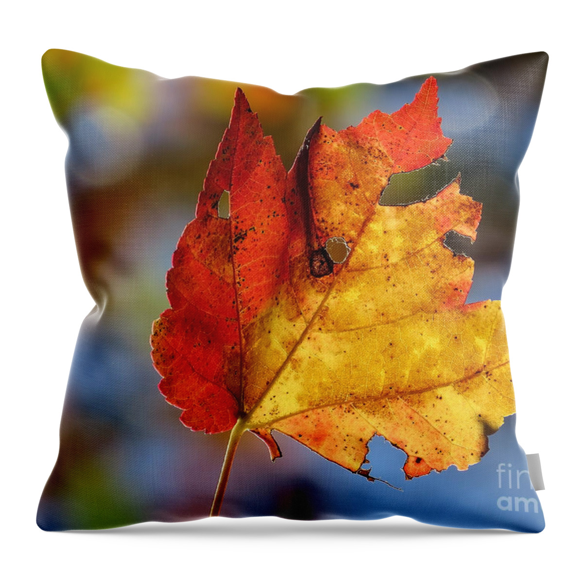 Leaves Throw Pillow featuring the photograph Colors of Autumn 2015 by Lili Feinstein