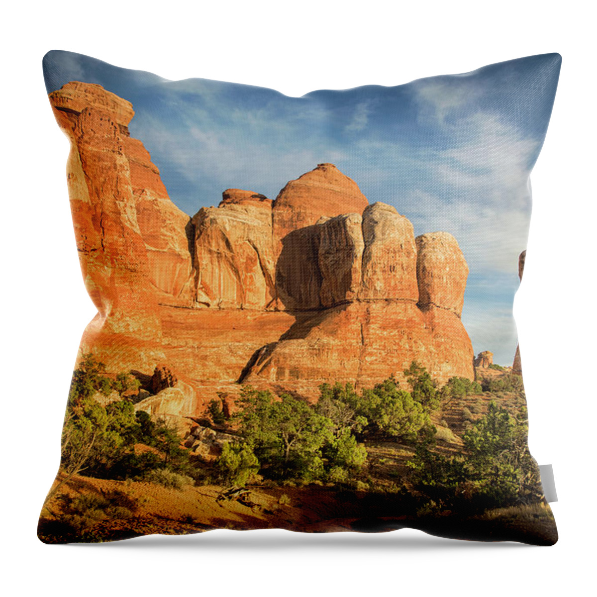 Canyonlands National Park Throw Pillow featuring the photograph Colors of Chesler Park by Kunal Mehra