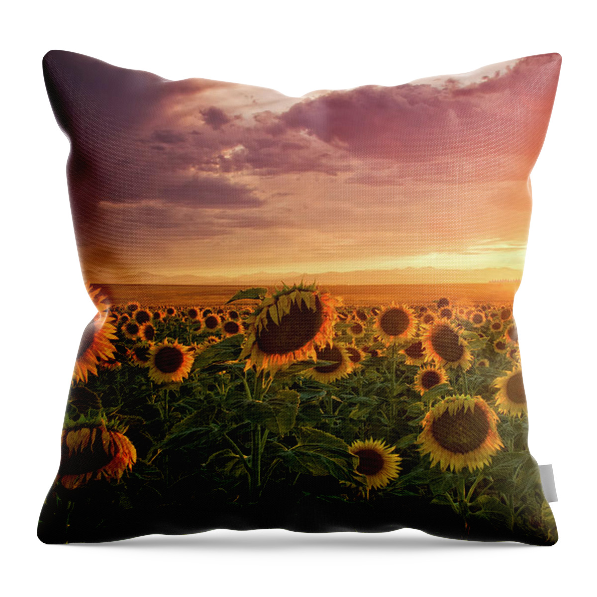 Colorado Throw Pillow featuring the photograph Colors Of Late Evening by John De Bord