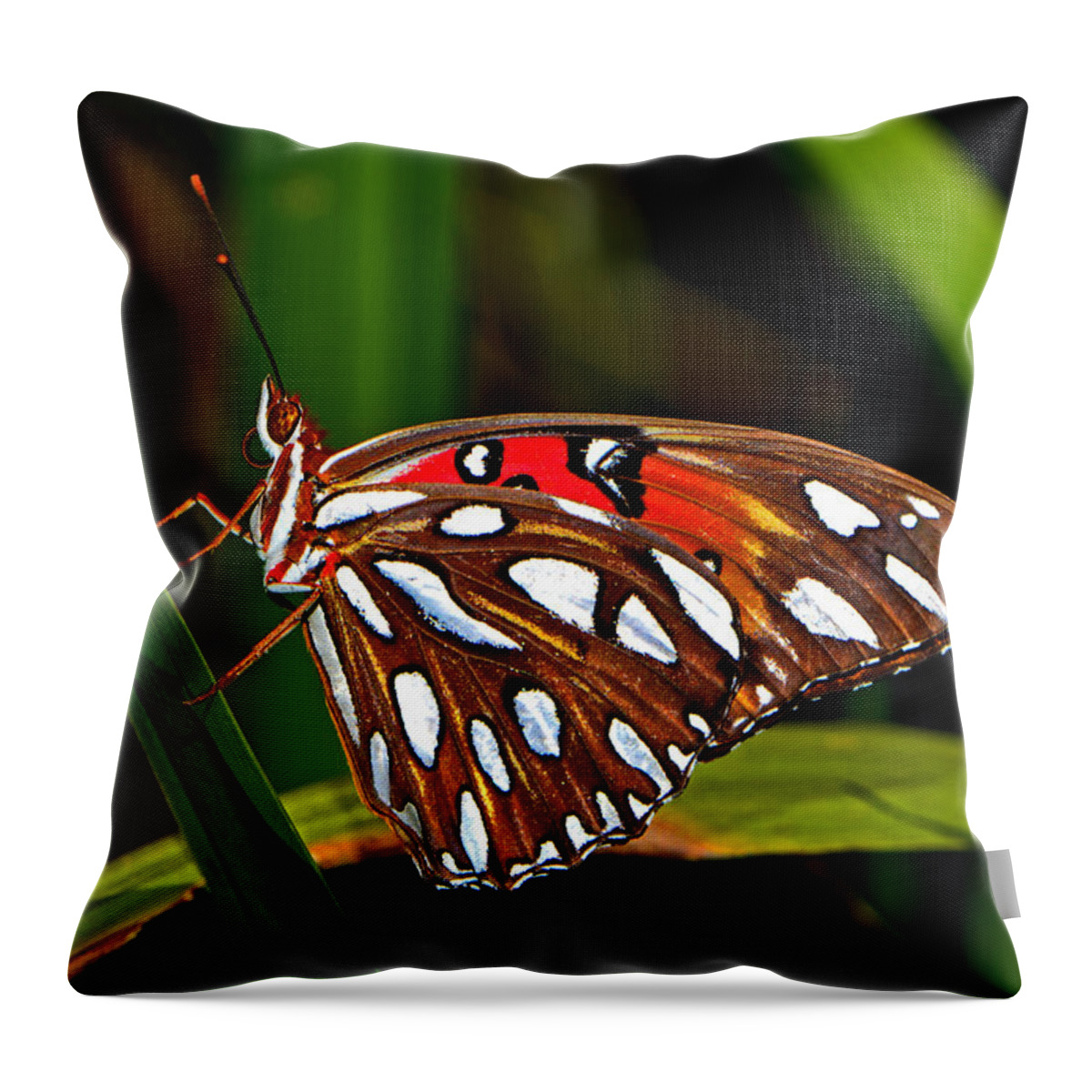 Macro Throw Pillow featuring the photograph Colors Of Nature - Natures Tapestry by George Bostian