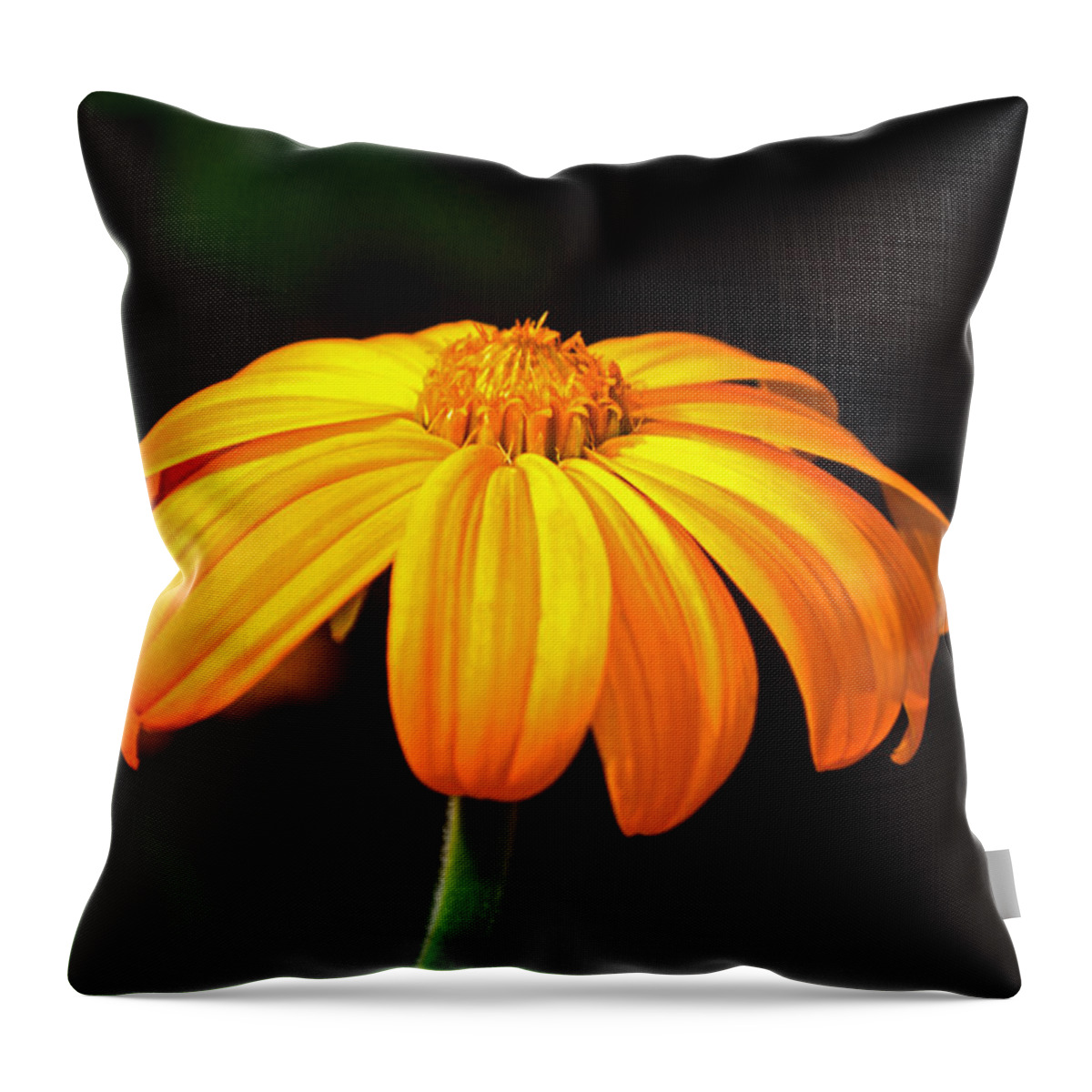 Yellow Throw Pillow featuring the photograph Colors Of Nature - Yellow Flower 020 by George Bostian