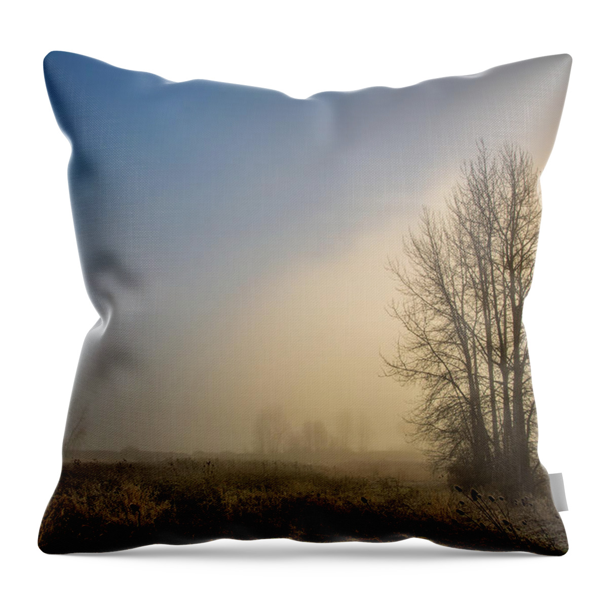Portland Fog Throw Pillow featuring the photograph Colors of winter sunrise by Kunal Mehra