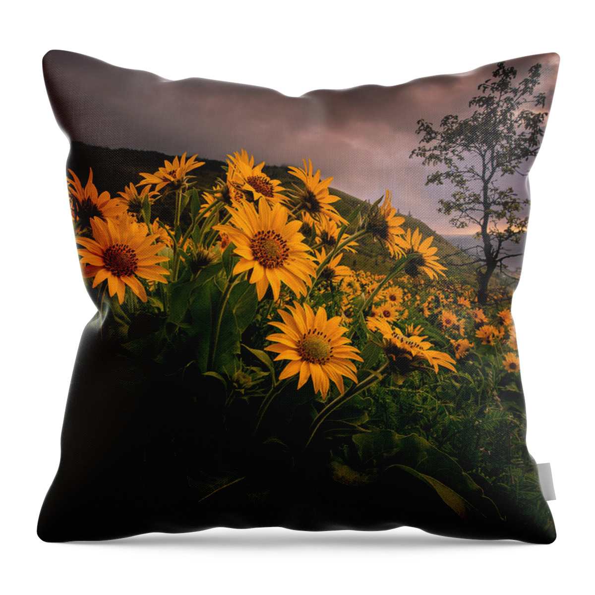 Rowena Crest Throw Pillow featuring the photograph Columbia Gorge Joy by Dan Mihai
