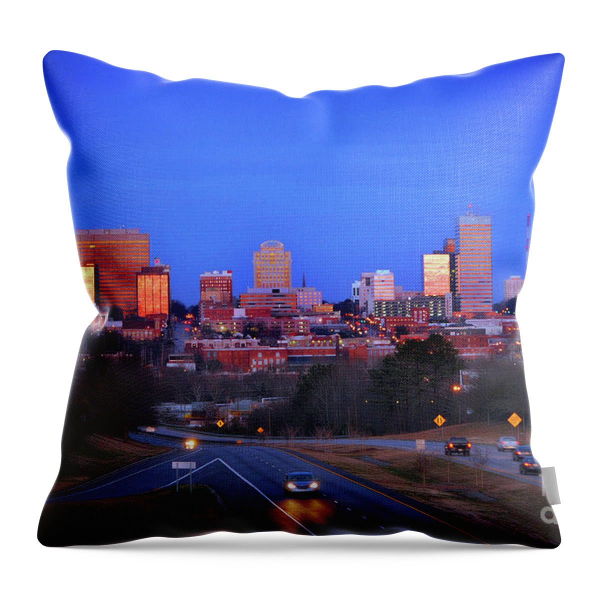 Scenic Tours Throw Pillow featuring the photograph Columbia, Sc, Usa by Skip Willits
