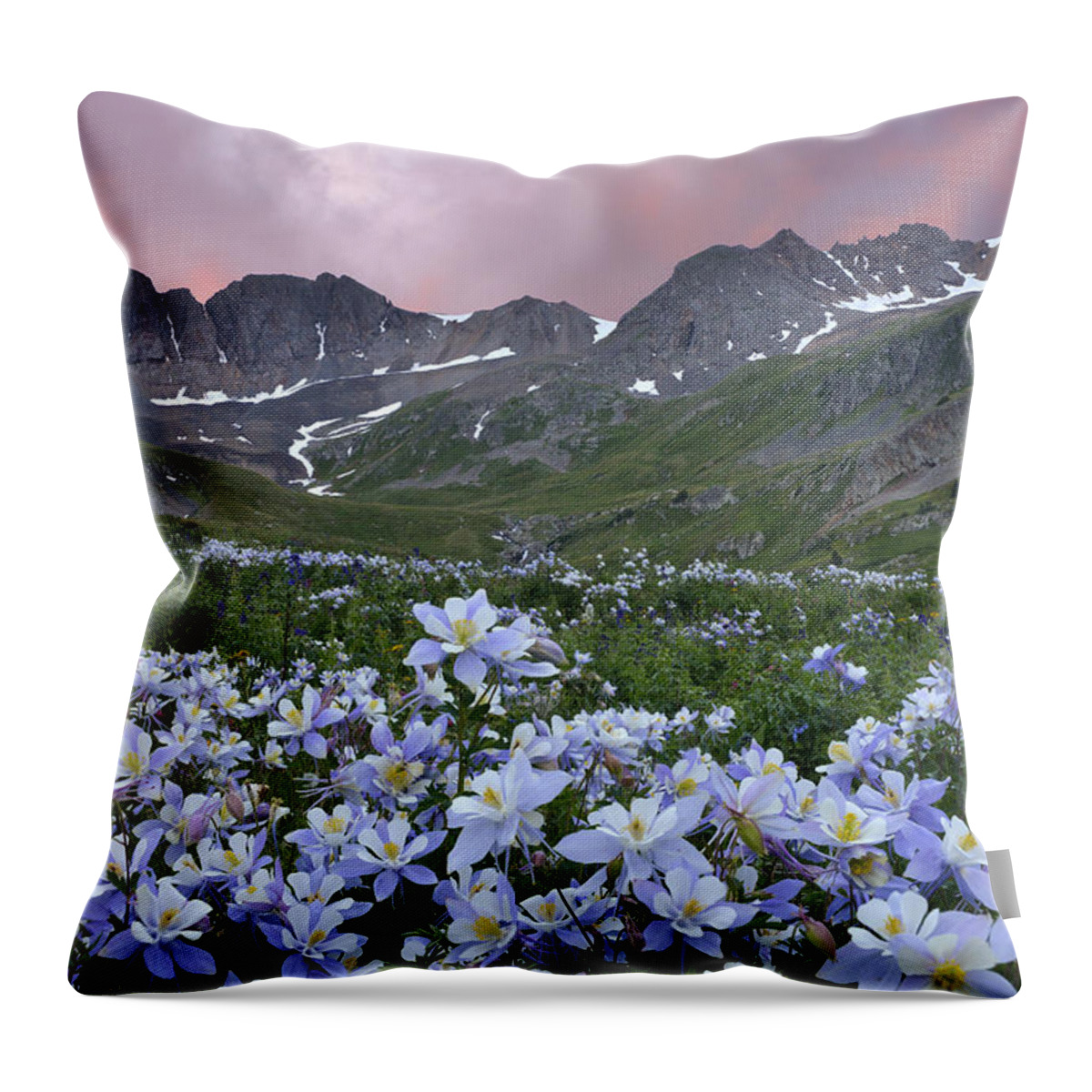 American Basin Throw Pillow featuring the photograph Columbine at America Basin by Dean Hueber