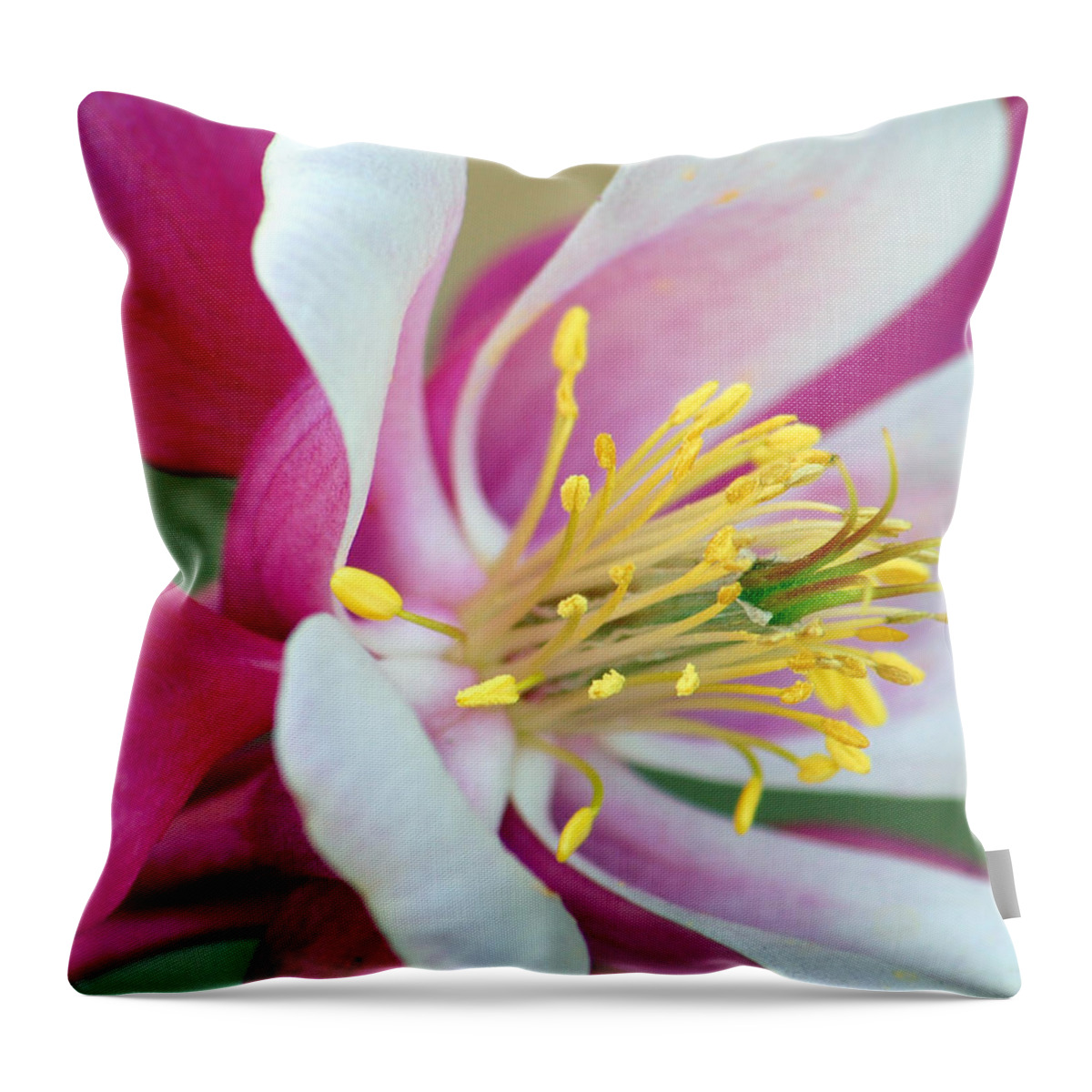 Columbine Throw Pillow featuring the photograph Columbine Flower 2 by Amy Fose