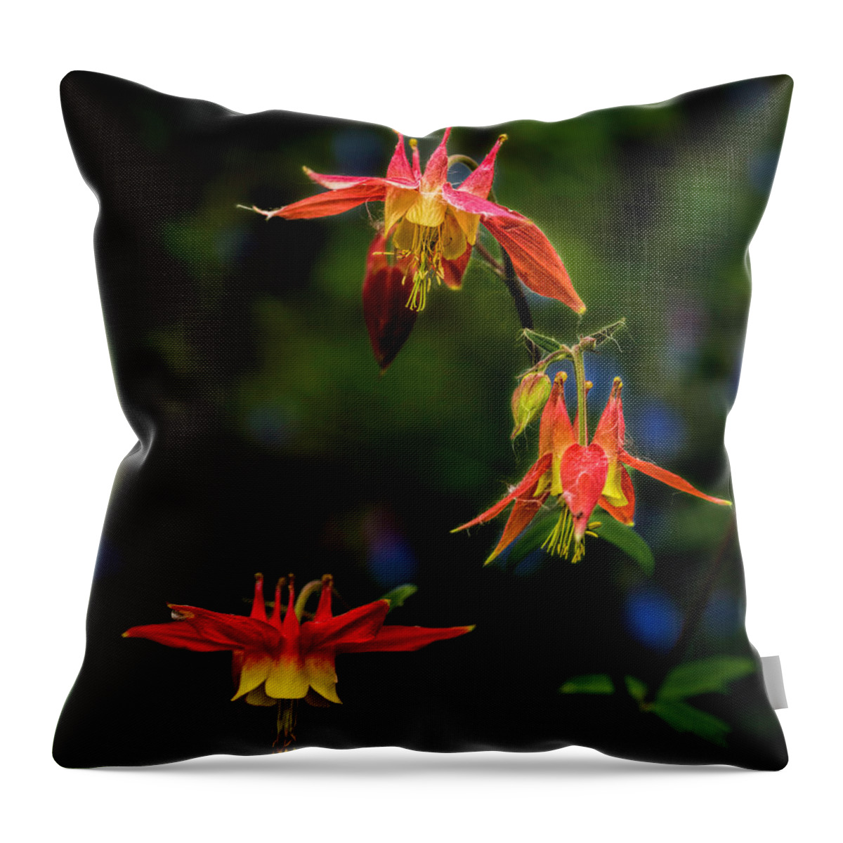 Wildflower Throw Pillow featuring the photograph Columbine by Fred Denner