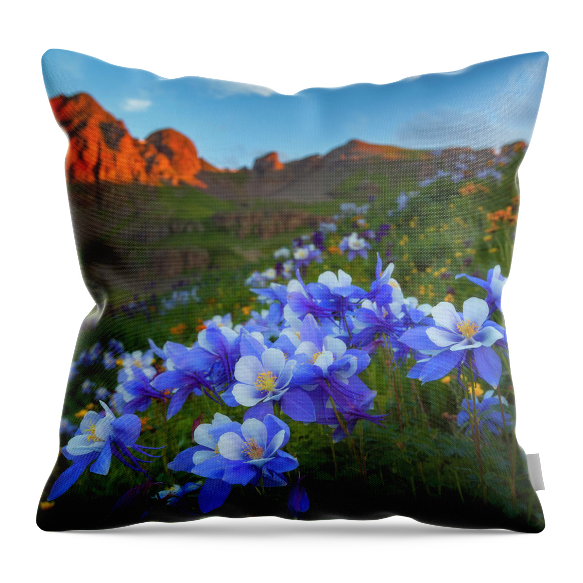 Colorado Throw Pillow featuring the photograph Columbine Sunrise by Darren White