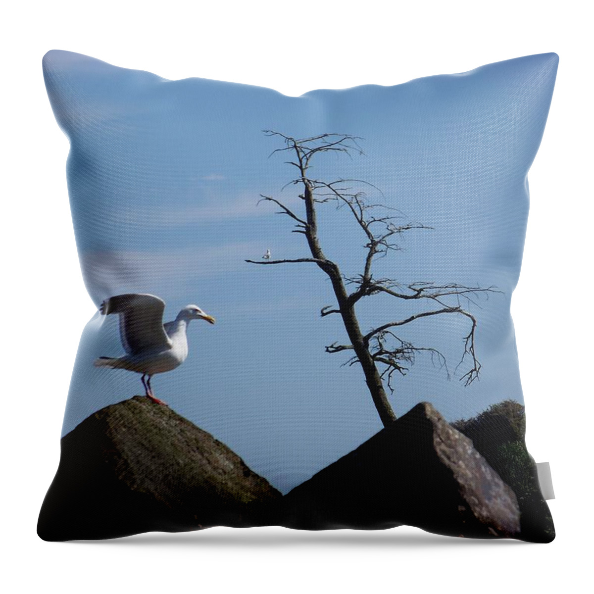 Seagulls Throw Pillow featuring the photograph Come Fly With Me by Julie Rauscher