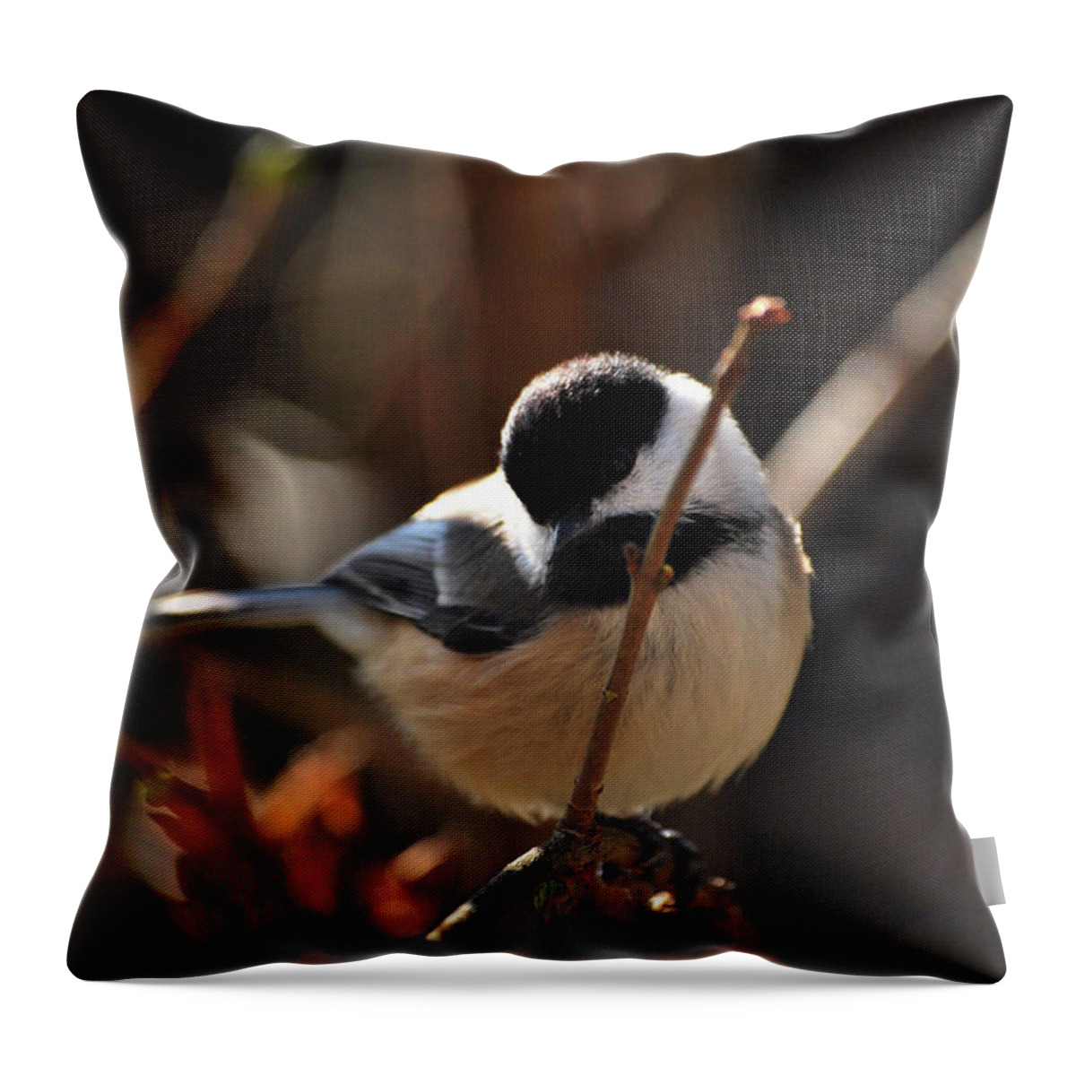 Bird Throw Pillow featuring the photograph Come Fly With Me by Lori Tambakis