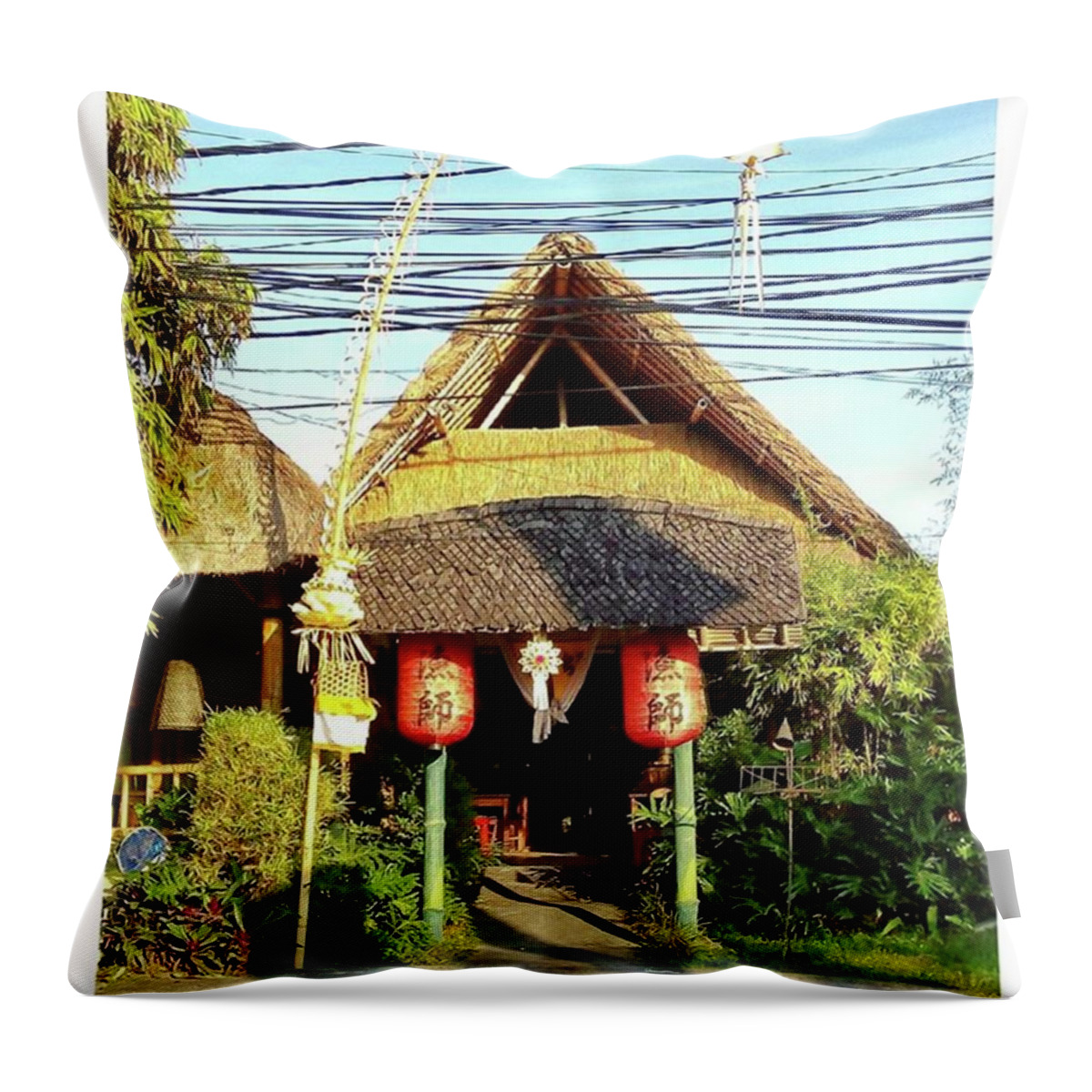 Sanurbali Throw Pillow featuring the photograph Come To Me Those Who Are #hungry by Loly Lucious