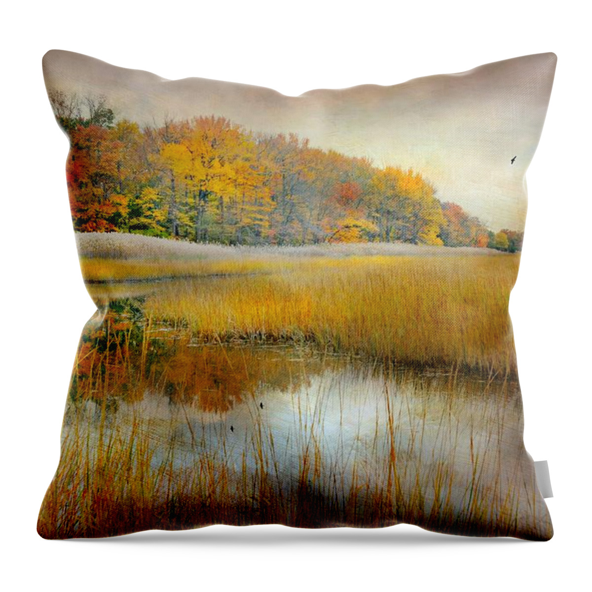 Landscape Throw Pillow featuring the photograph Come What May by Diana Angstadt