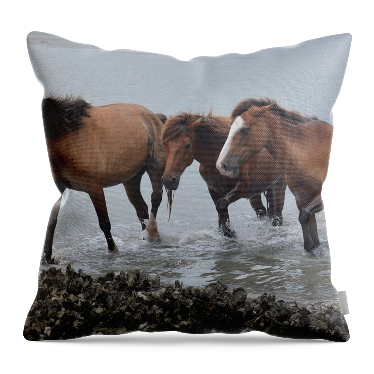 Island Pony Throw Pillow featuring the photograph Coming Ashore by Dan Williams