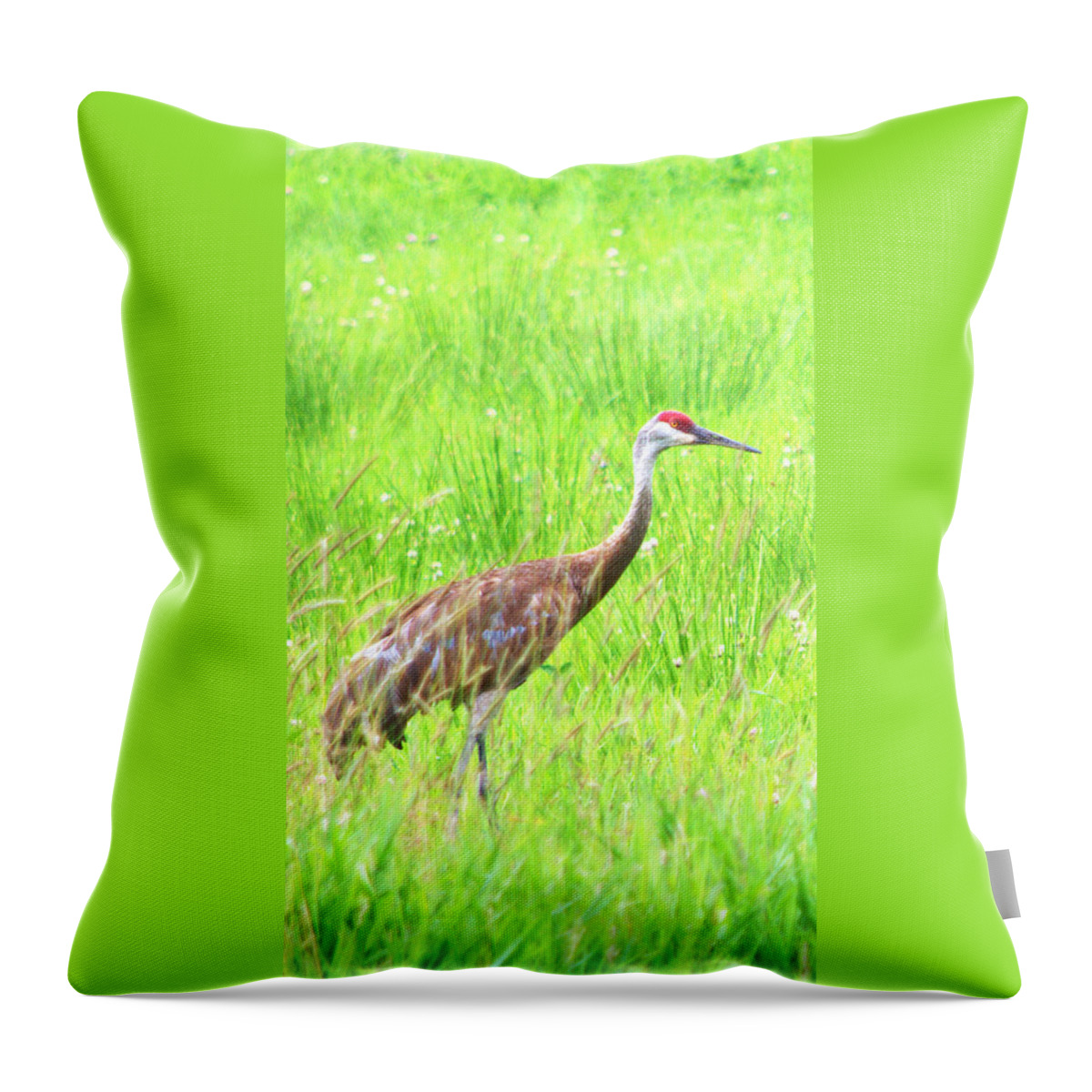  Throw Pillow featuring the photograph Common Crane Hide by Kimberly Woyak