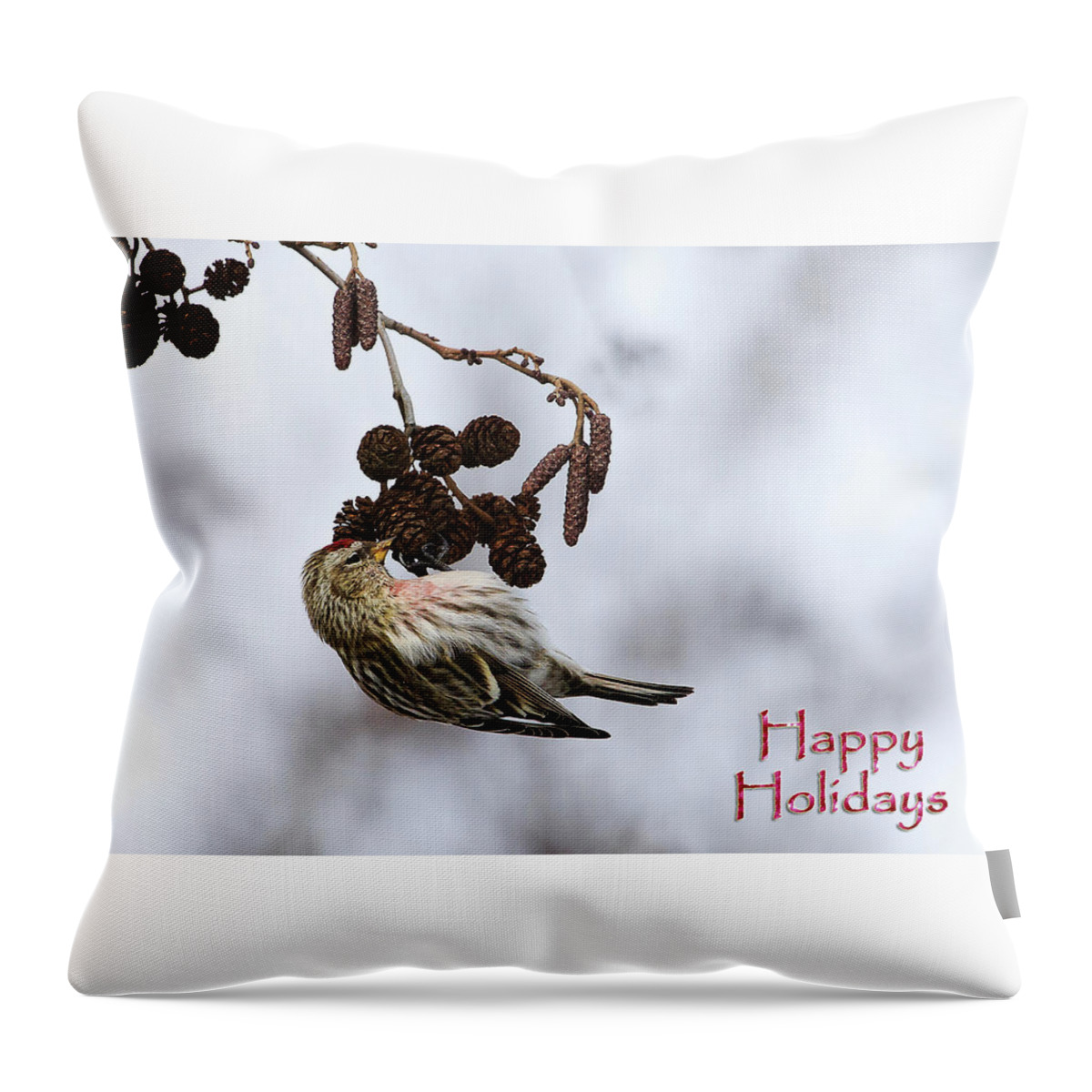 Gary Hall Throw Pillow featuring the photograph Common Redpoll Christmas Card by Gary Hall