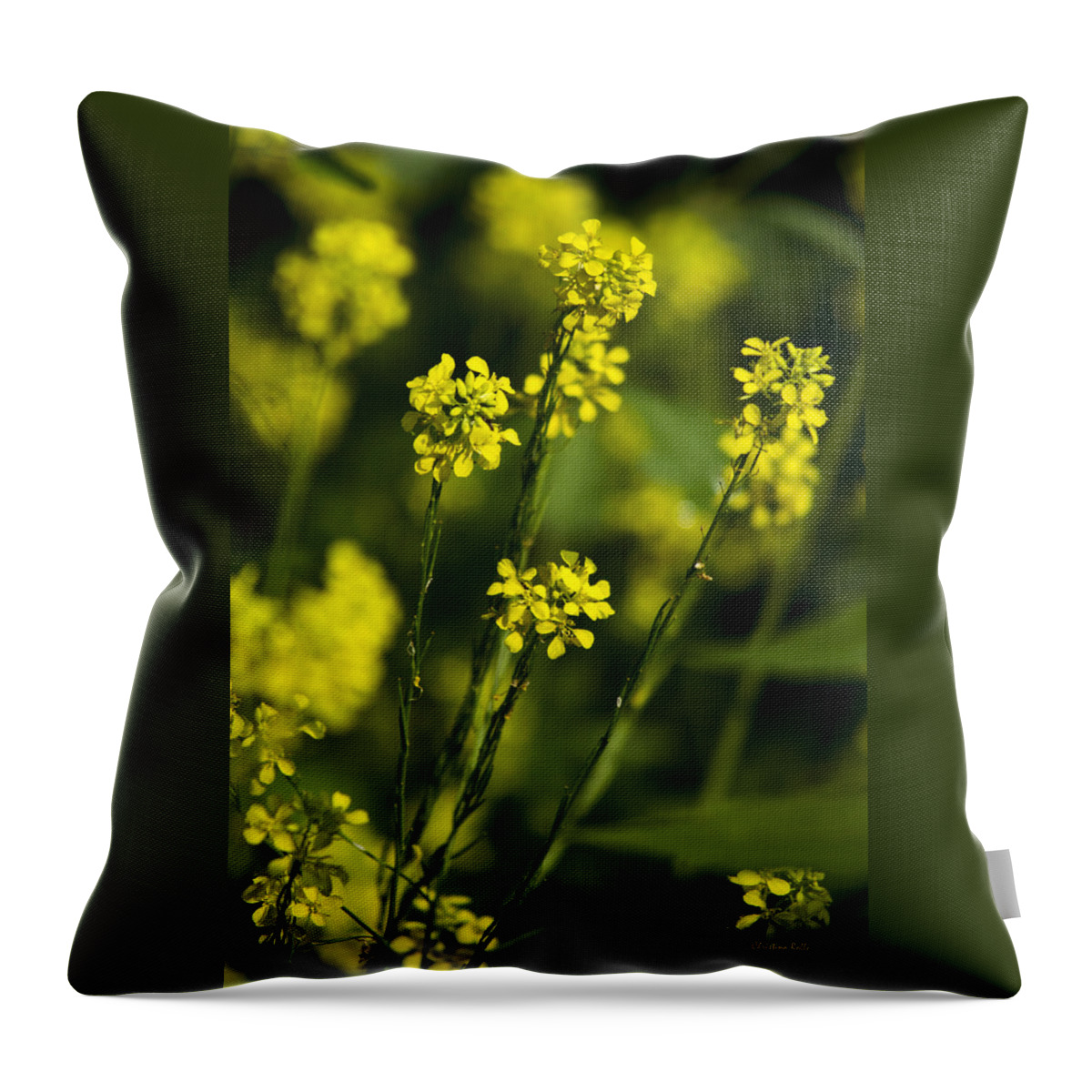 Flowers Throw Pillow featuring the photograph Common Wintercress Flowers by Christina Rollo