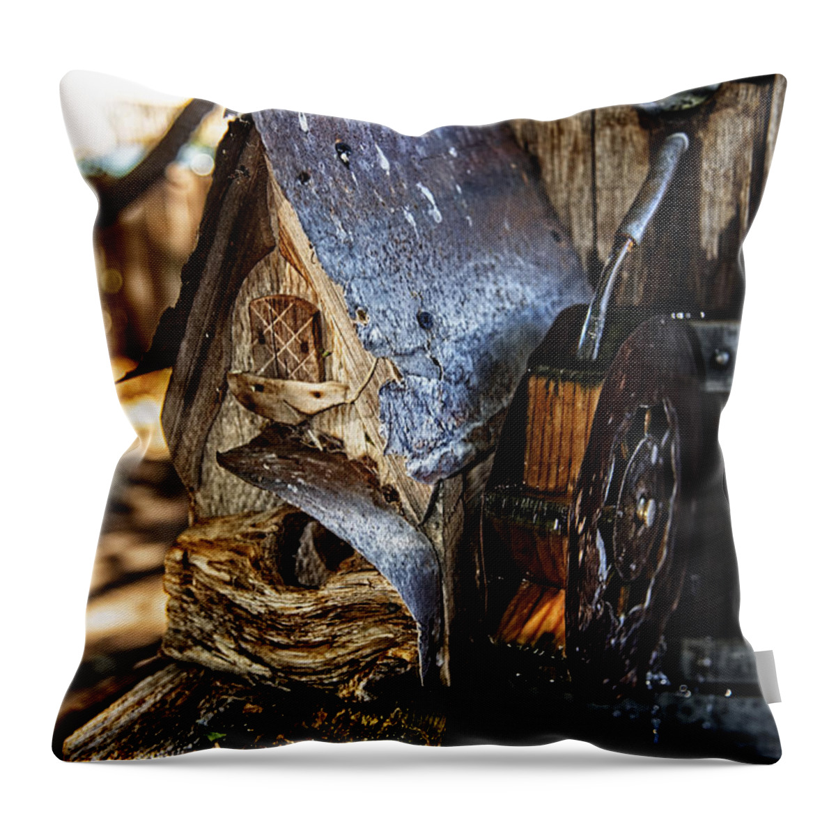 Rustic Throw Pillow featuring the photograph Com'on inY'all by Camille Lopez
