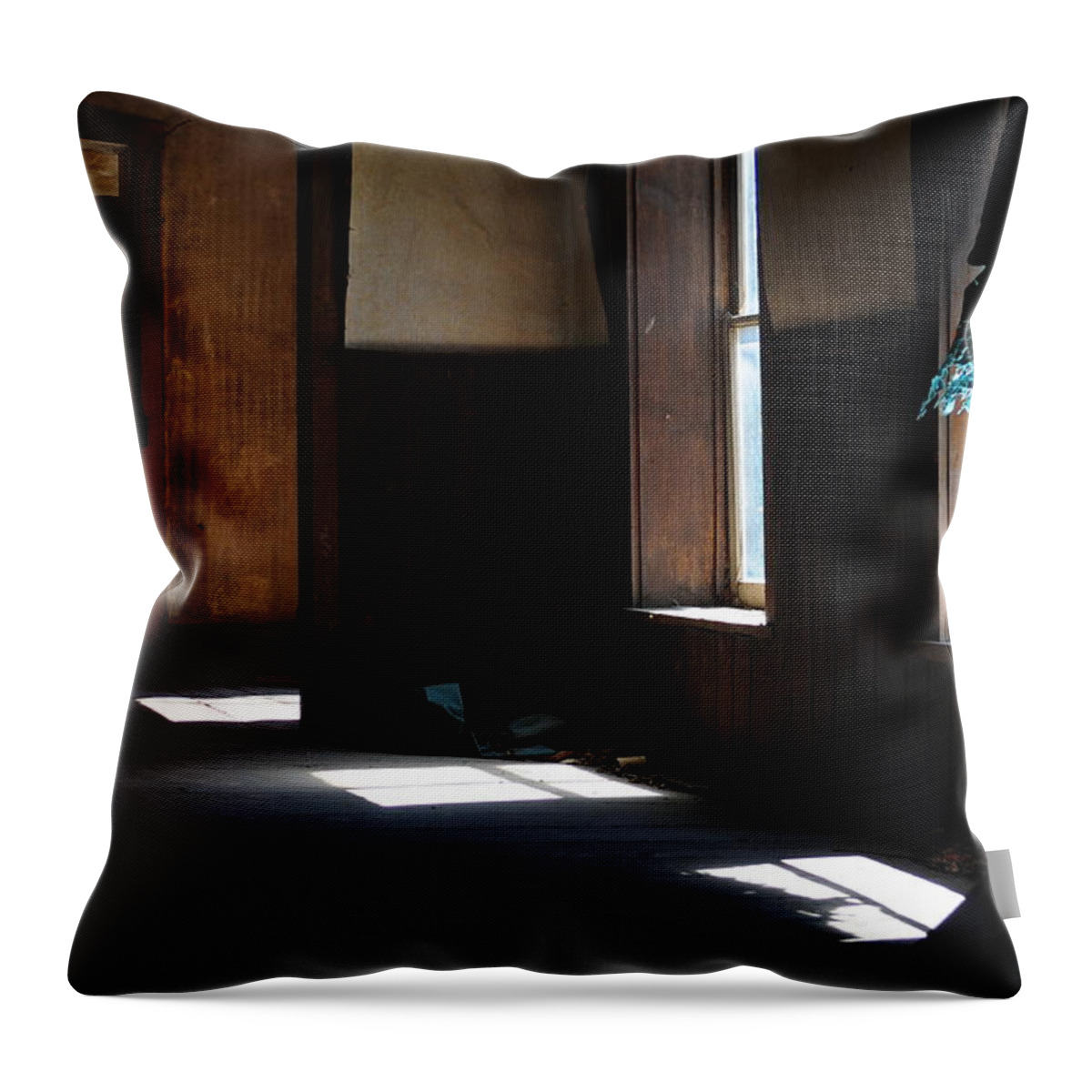 Structural Landscape Throw Pillow featuring the photograph Competitive Rates by Jack Harries