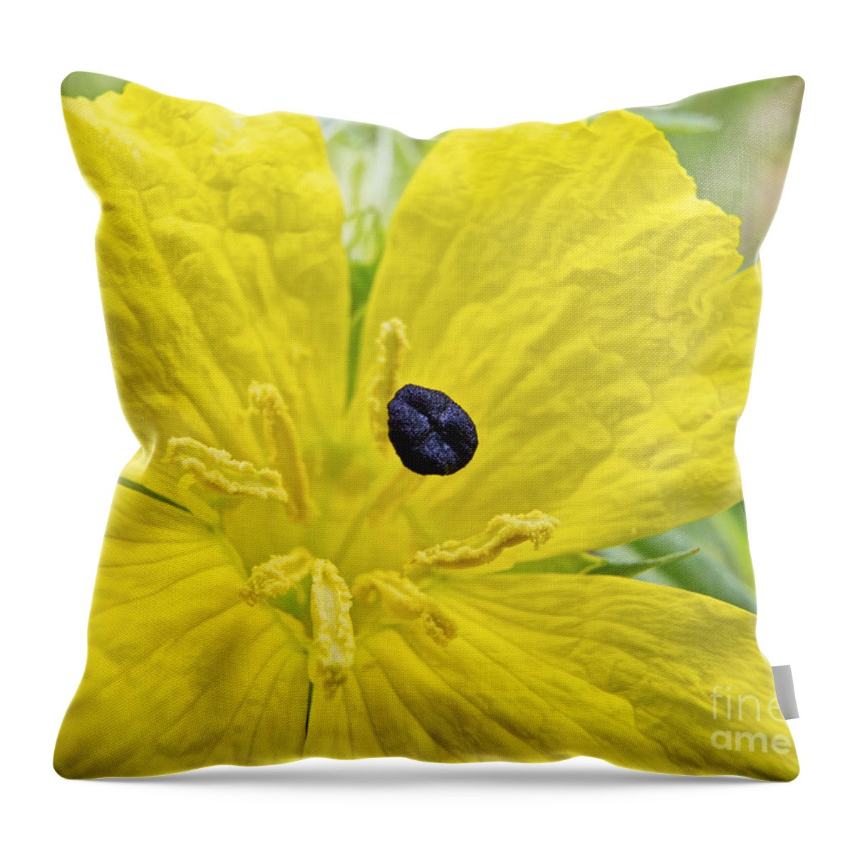 Complementary Throw Pillow featuring the photograph Complementary Colors by Gary Holmes