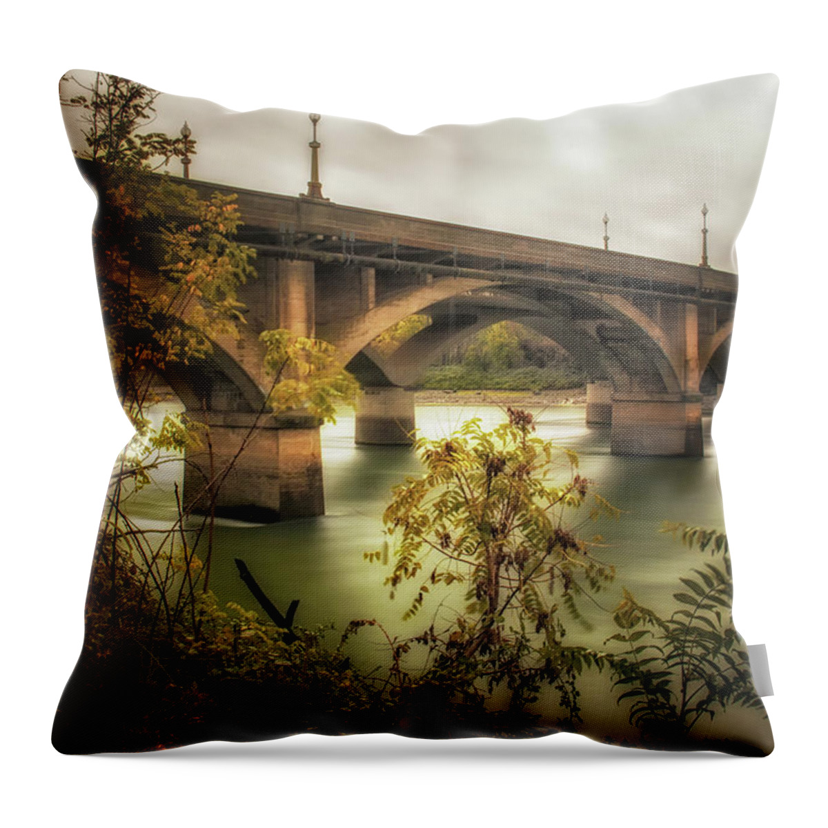 1914 Throw Pillow featuring the photograph Concrete Jungle by Marnie Patchett
