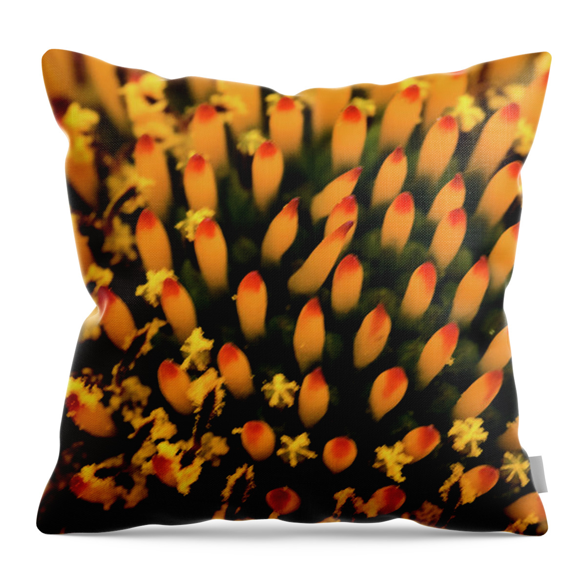 Jay Stockhaus Throw Pillow featuring the photograph Coneflower by Jay Stockhaus