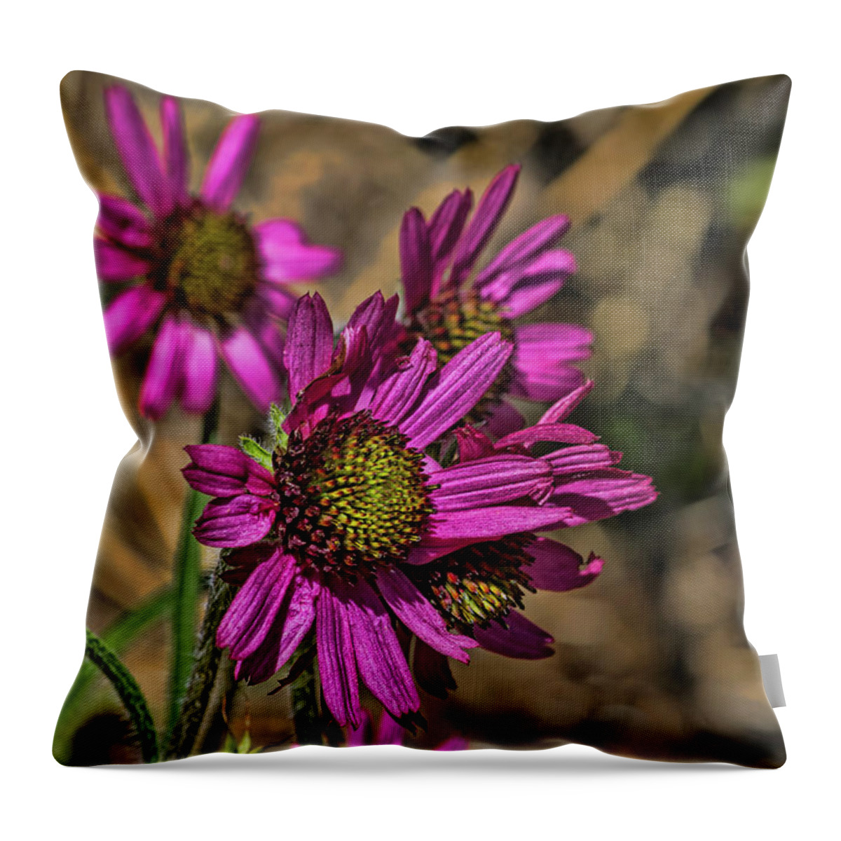 Botanical Throw Pillow featuring the photograph Coneflowers in the Wind by Alana Thrower