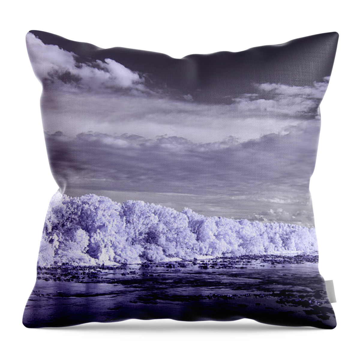 Ir Throw Pillow featuring the photograph Congaree River in IR by Charles Hite