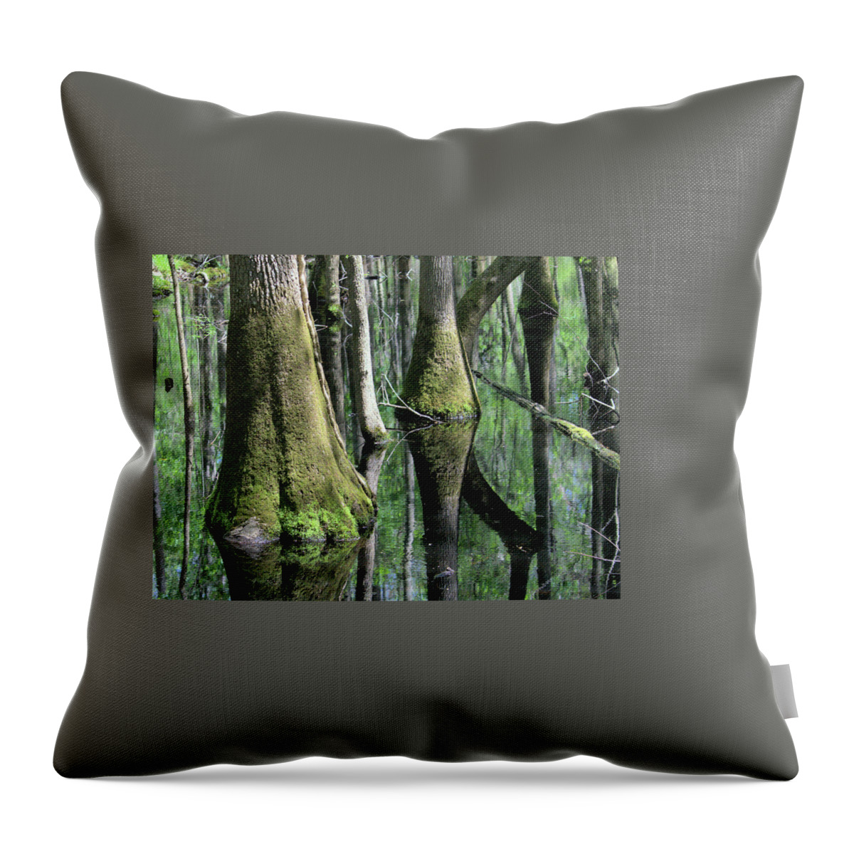 Swamp. Land Throw Pillow featuring the photograph Congaree National Park by Cathy Harper