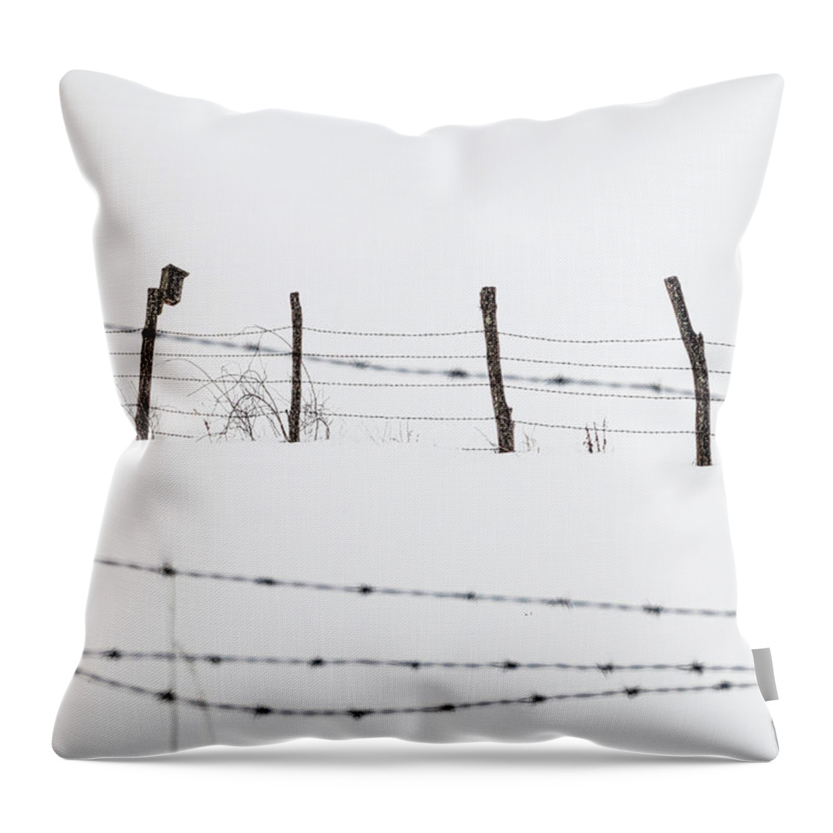 Connected Throw Pillow featuring the photograph Connected - by Julie Weber