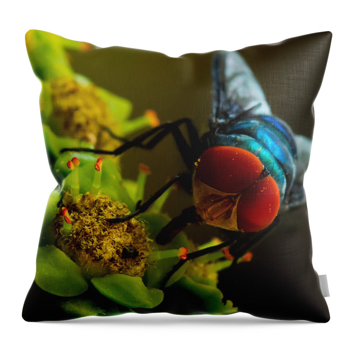 Compound Eye Throw Pillow featuring the photograph Compound Eye Of Fly - Macro by Ramabhadran Thirupattur