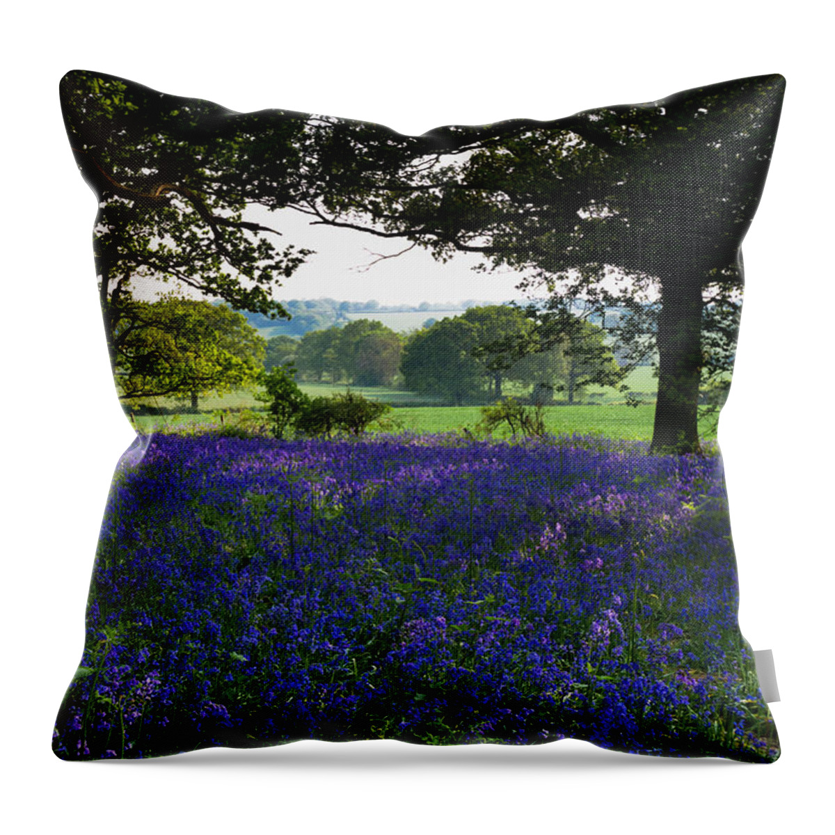 Essex Throw Pillow featuring the photograph Constable country by Gary Eason
