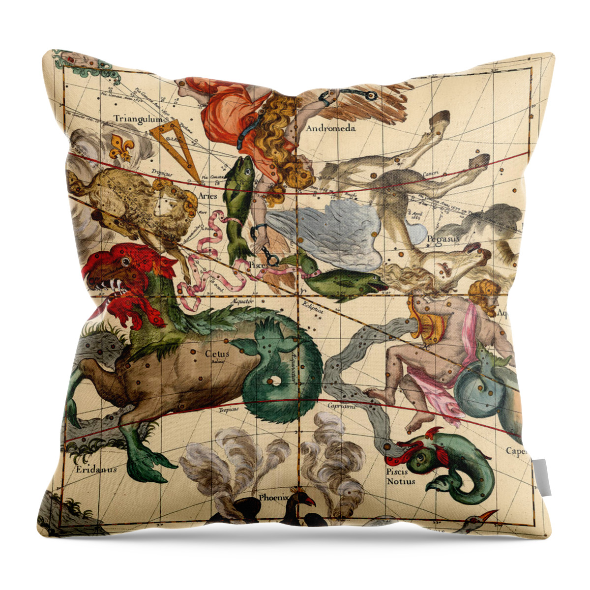 Celestial Throw Pillow featuring the photograph Constellation Chart 1693b by Andrew Fare
