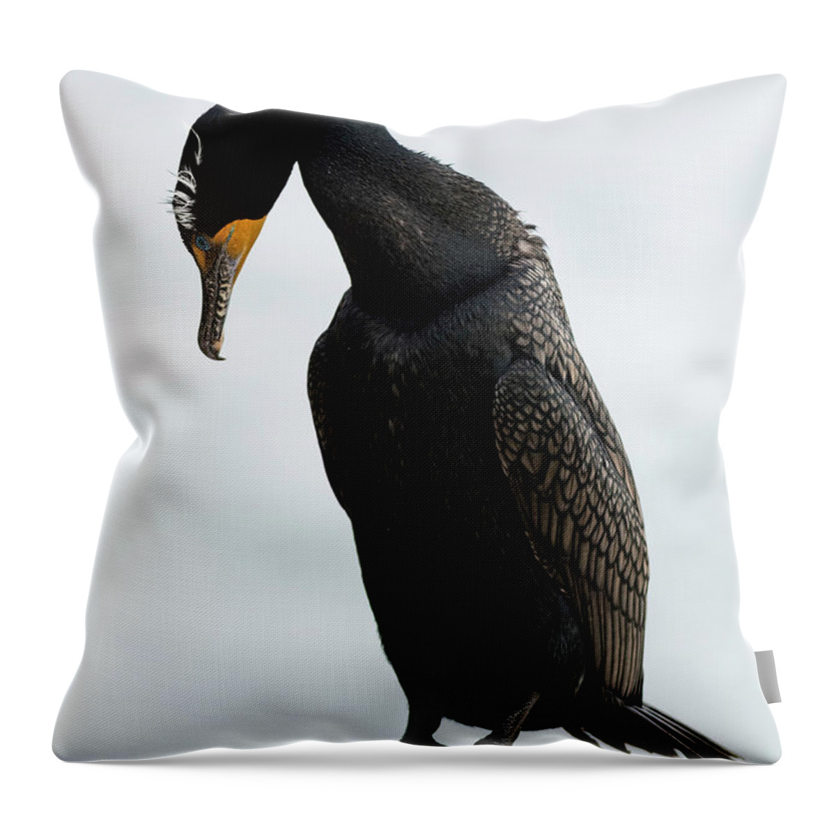 Double Crested Cormorant Throw Pillow featuring the photograph Contemplation by Mark Harrington