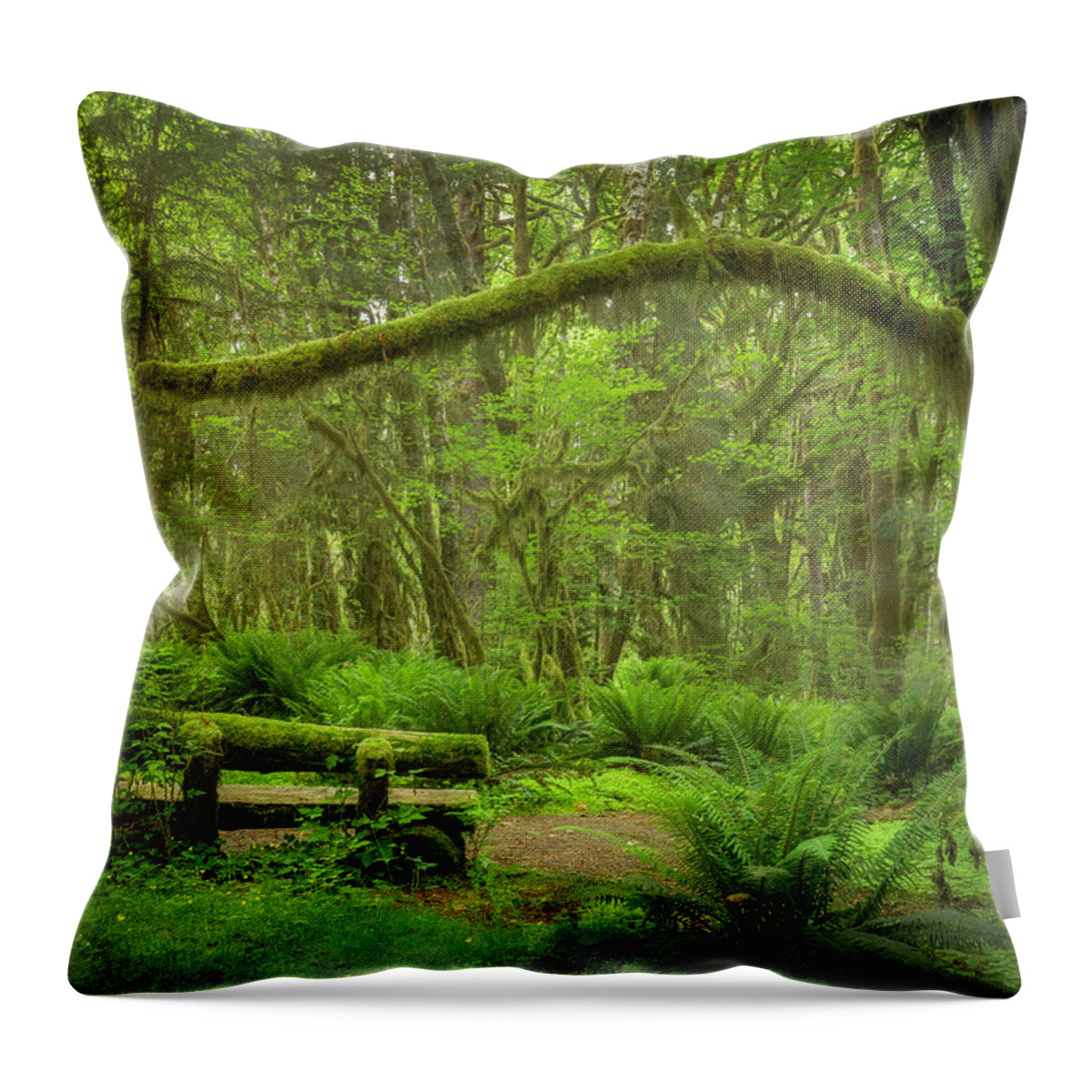 Path Throw Pillow featuring the photograph Contemplative Rain Forest by Jon Ares