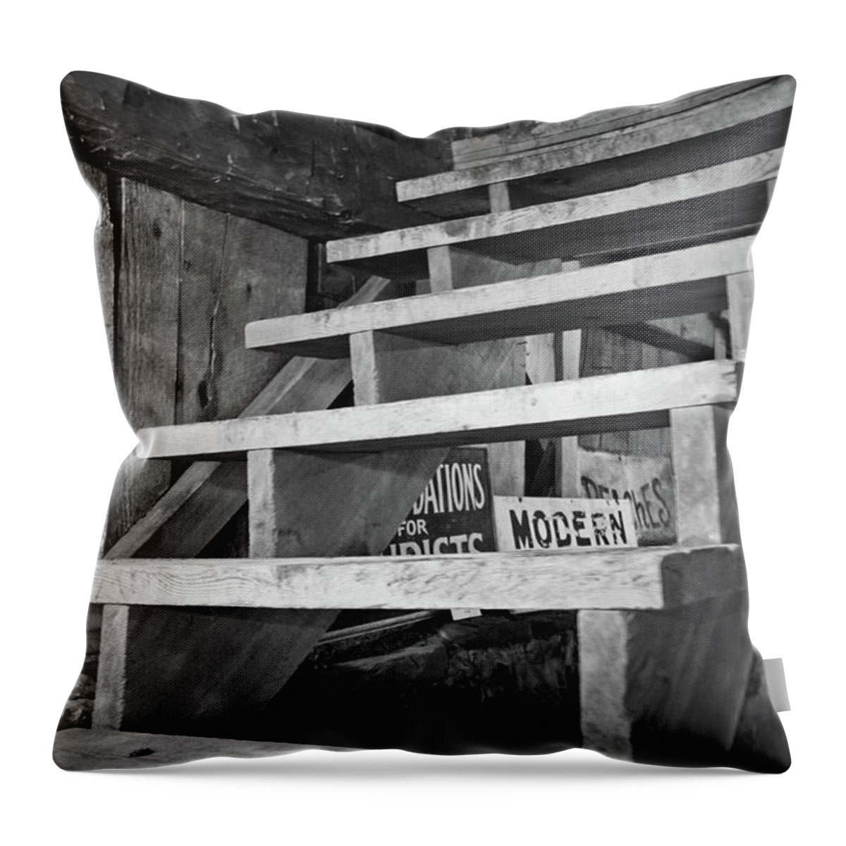Modern Throw Pillow featuring the photograph Contradictions by Brooke T Ryan