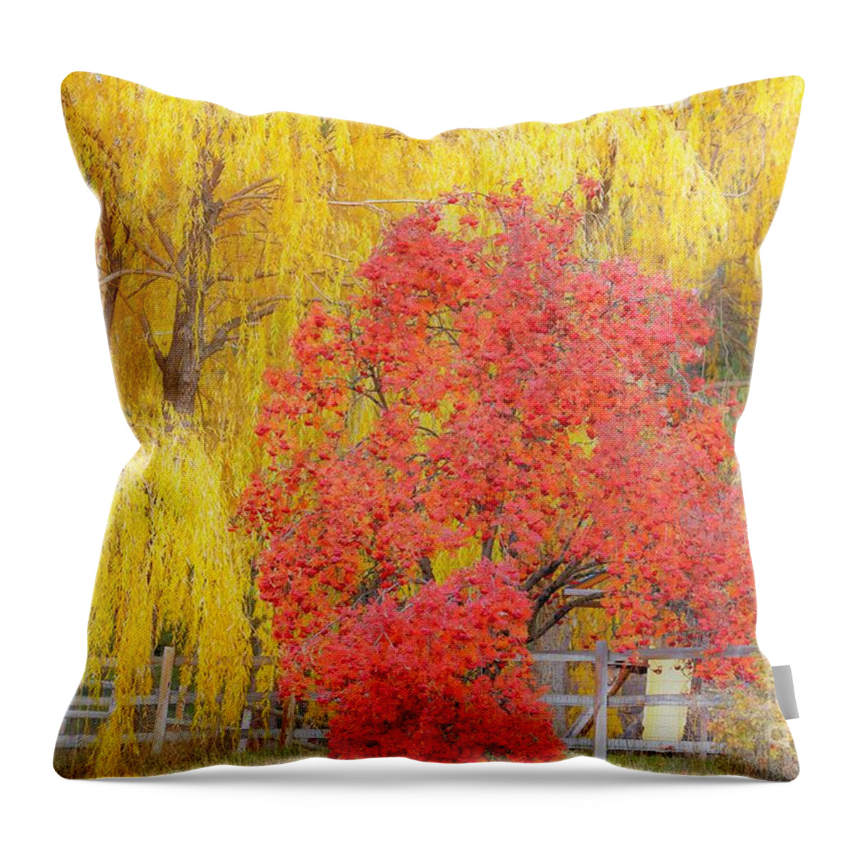 Trees Throw Pillow featuring the photograph Contrasting trees by Merle Grenz