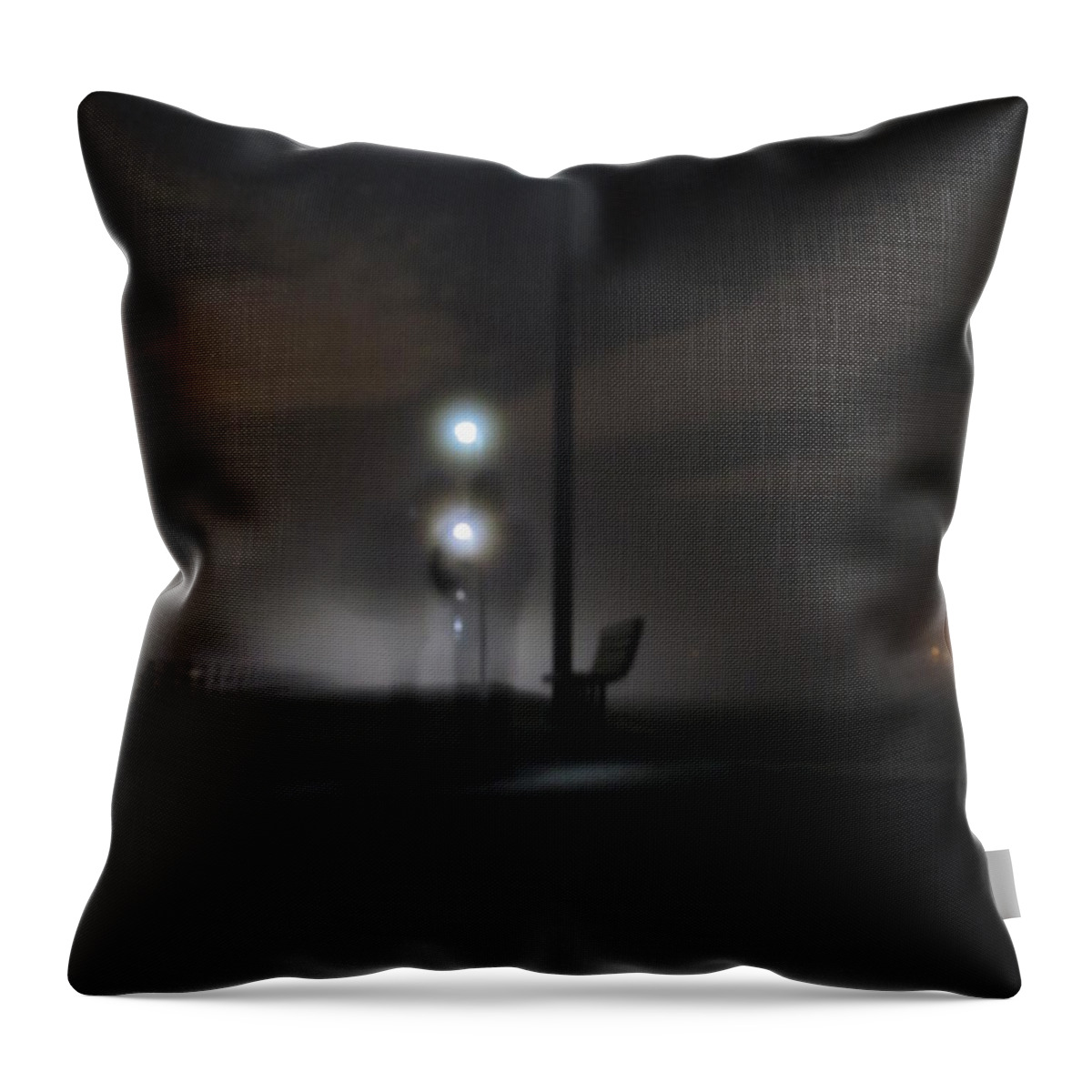 Fort Monroe Norfolk Throw Pillow featuring the photograph Conversation in the Mist by Digital Art Cafe