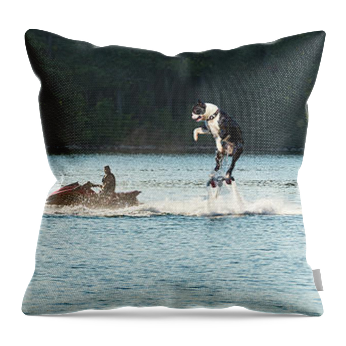Dog Throw Pillow featuring the digital art Cool Dog On A Water Jet Pack by Les Palenik