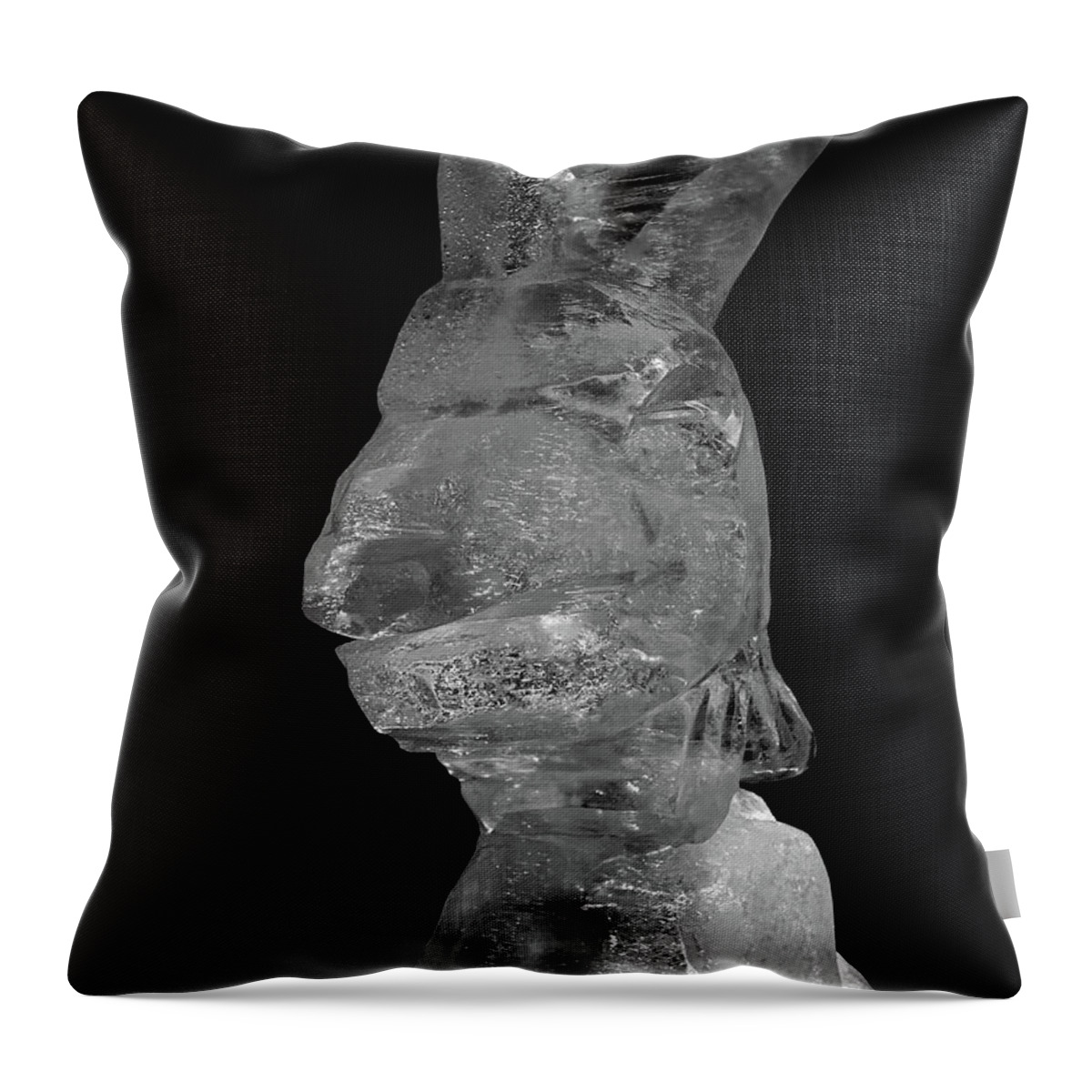 Finland Throw Pillow featuring the photograph Cool Rabbit by Jouko Lehto