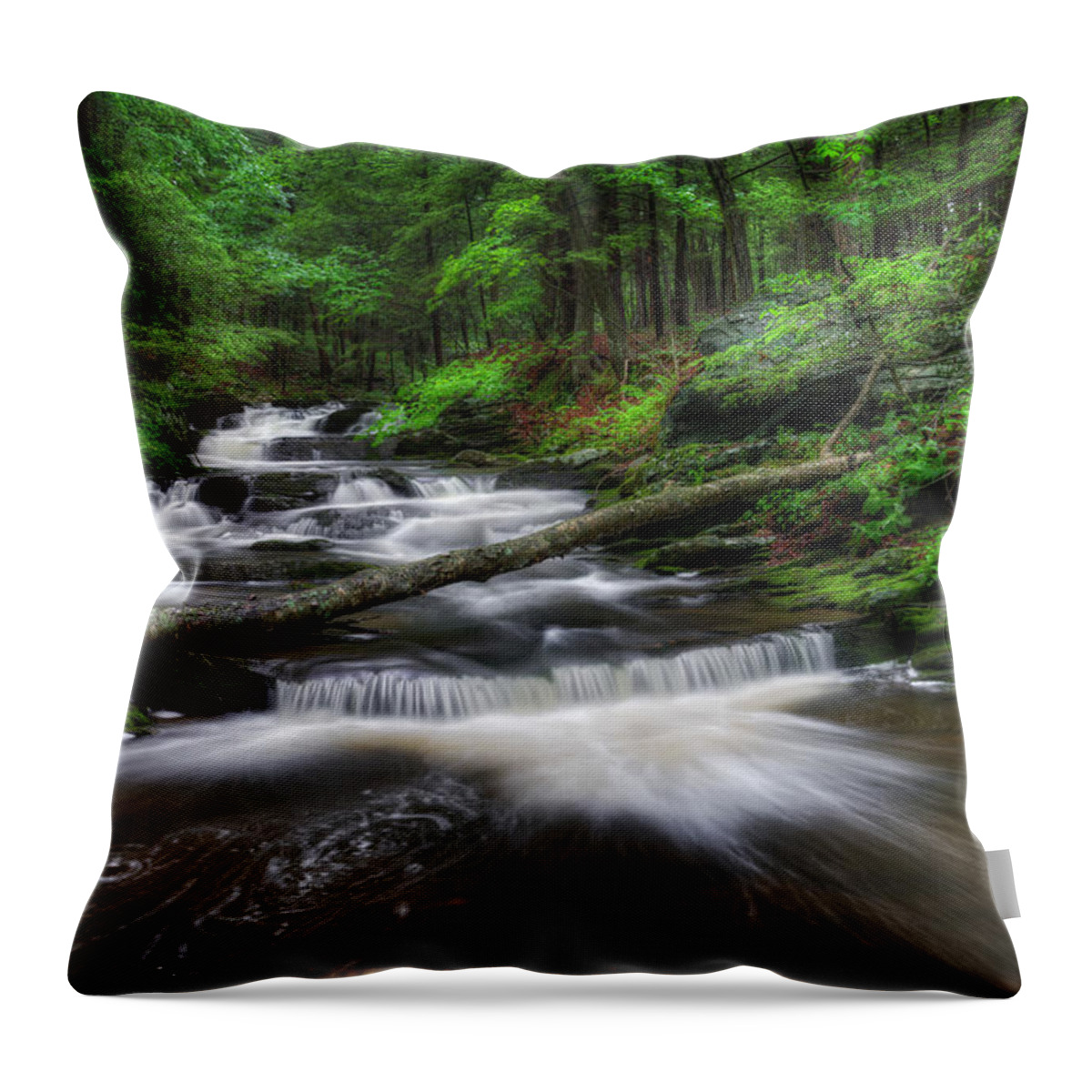 Green Throw Pillow featuring the photograph Cool Spring Stream by Bill Wakeley