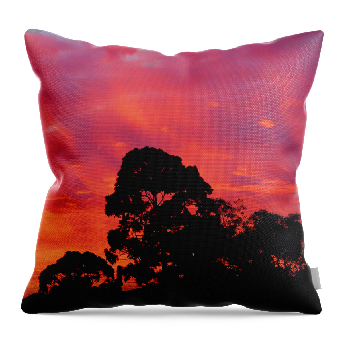 Sunrise Throw Pillow featuring the photograph Cool Sunrise by Mark Blauhoefer
